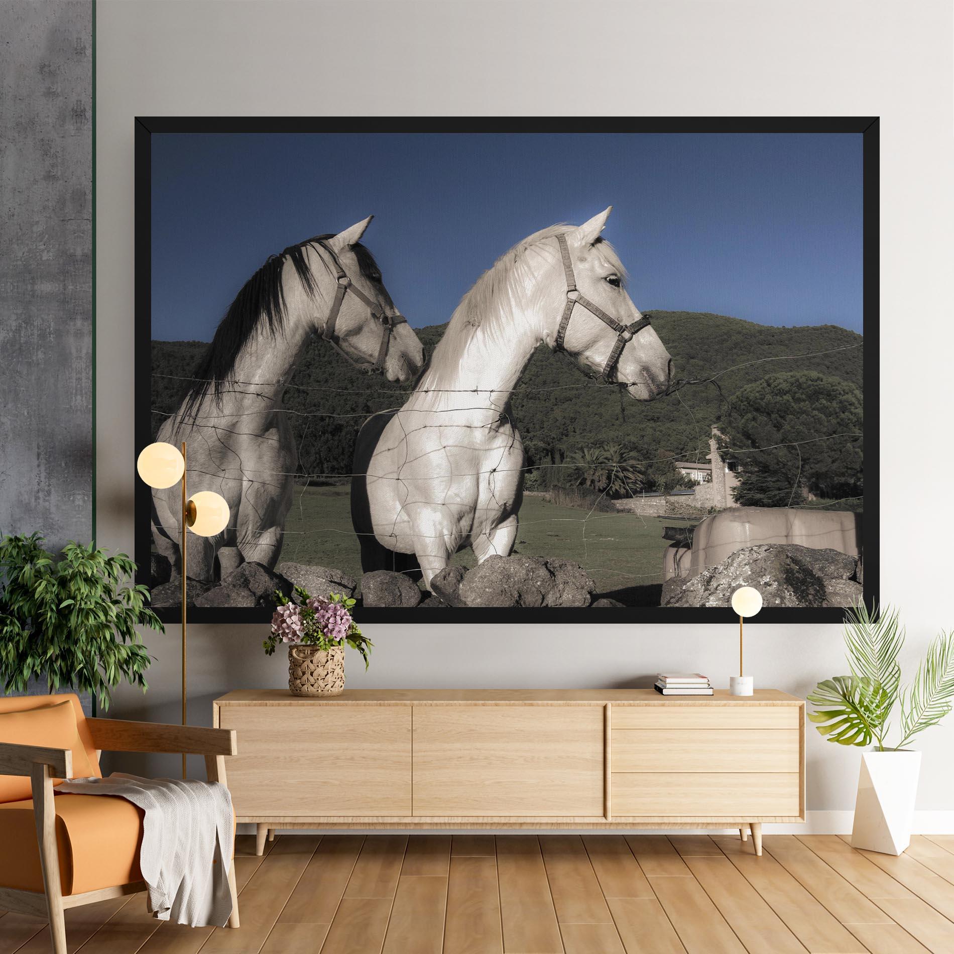 Tablou Canvas White Grey Horse mockup 9