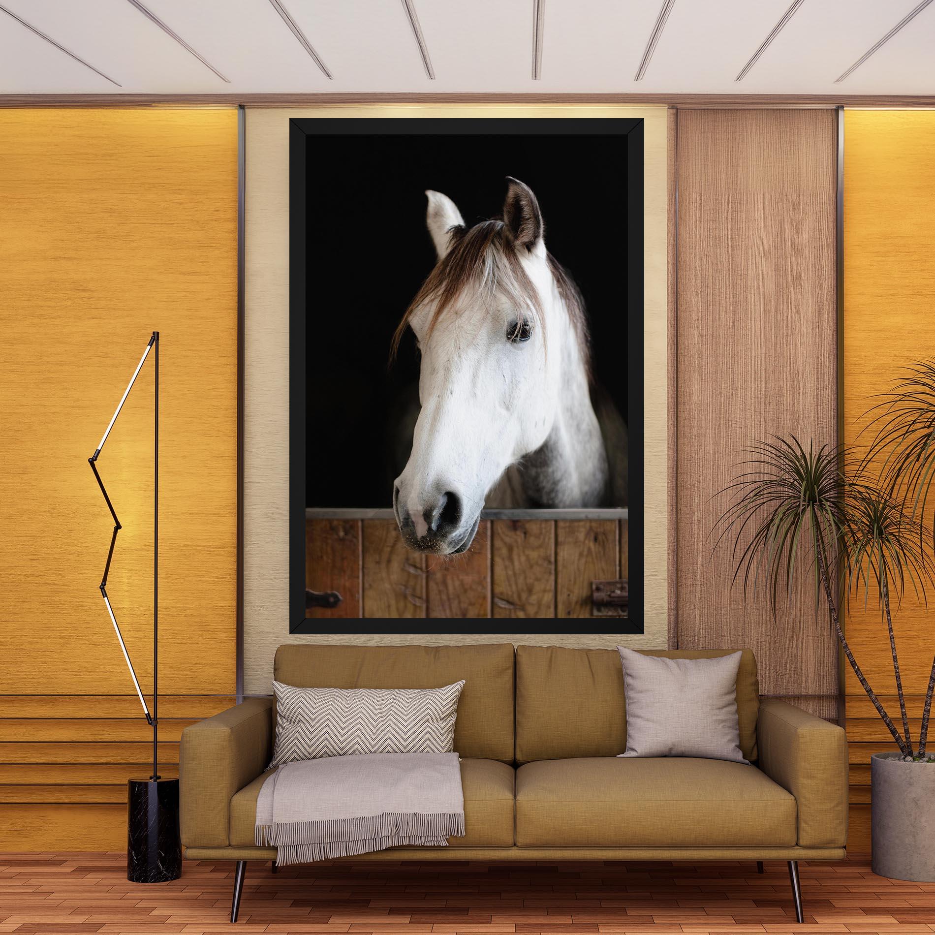 Tablou Canvas Grey Horse Head mockup 9