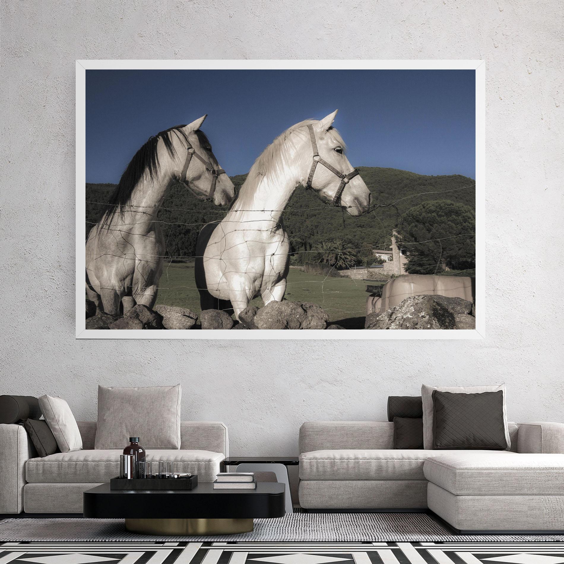 Tablou Canvas White Grey Horse mockup 2