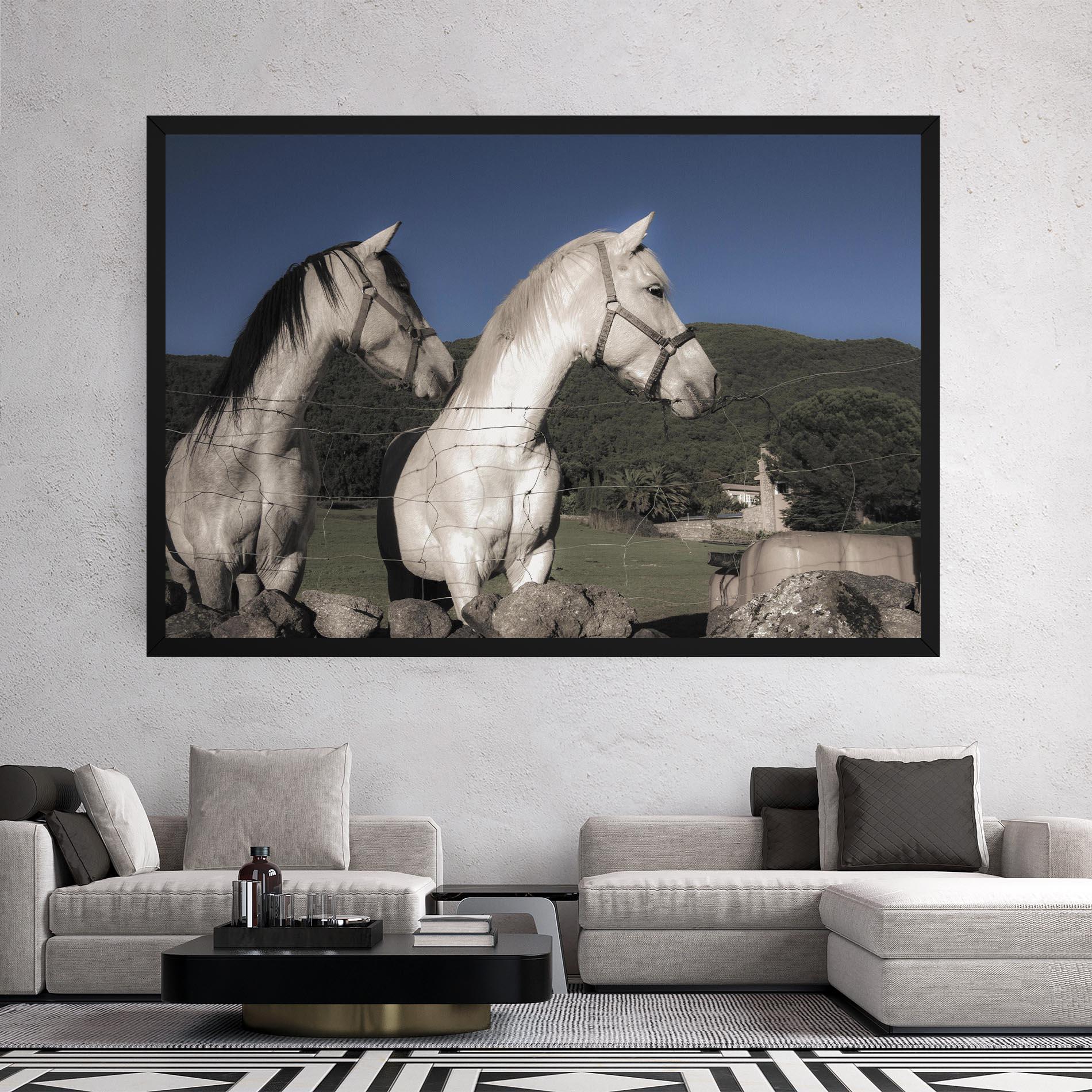Tablou Canvas White Grey Horse mockup 2