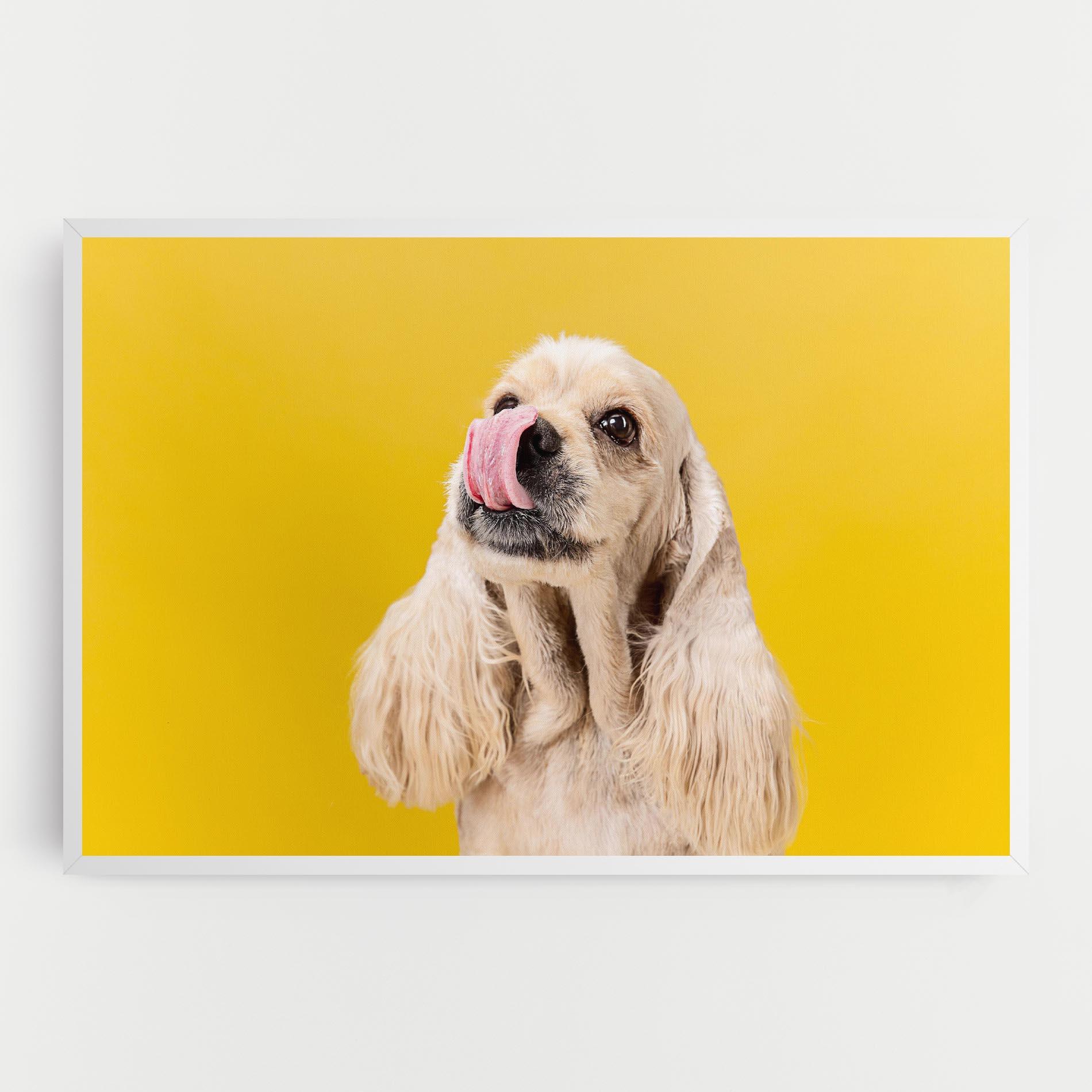 Tablou Canvas American Spaniel mockup 0