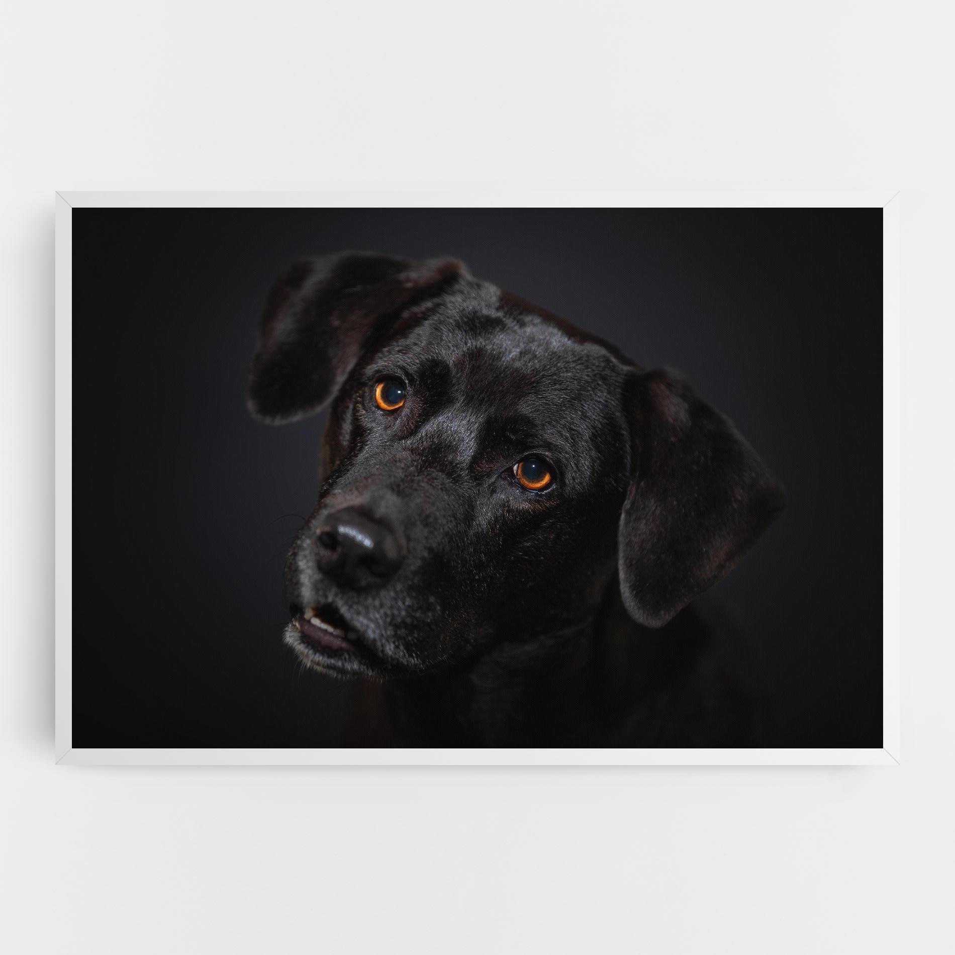 Tablou Canvas Black Dog Portrait mockup 0