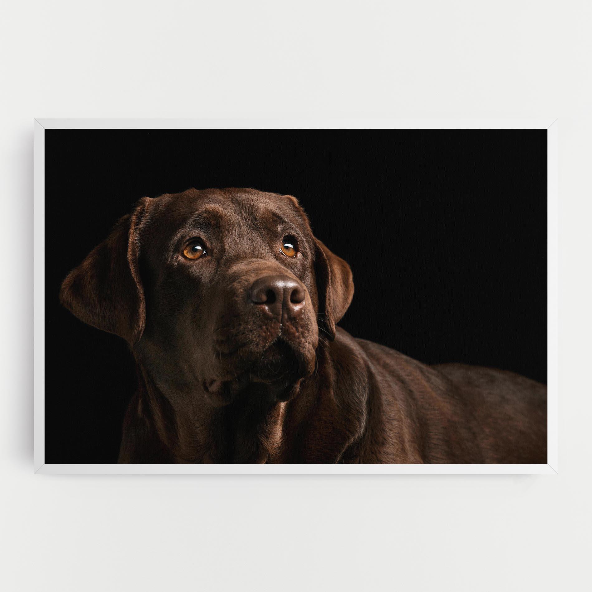 Tablou Canvas Brown Labrador mockup 0