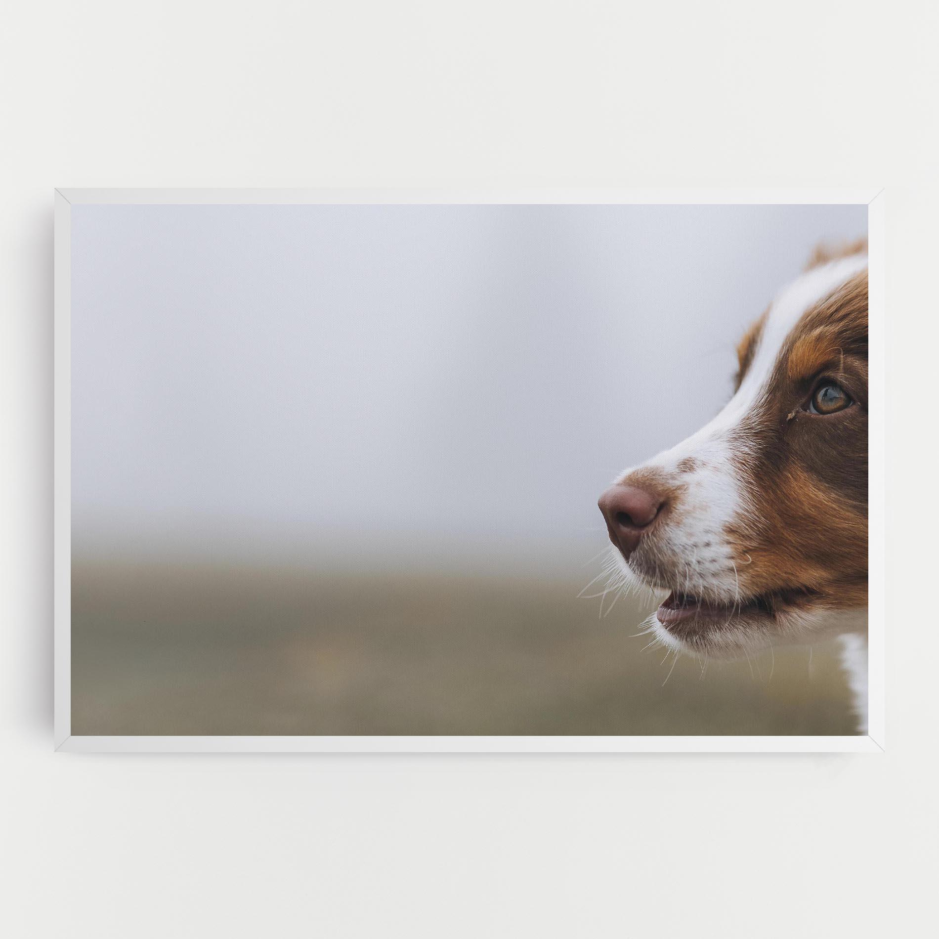 Tablou Canvas Brown White Dog mockup 0