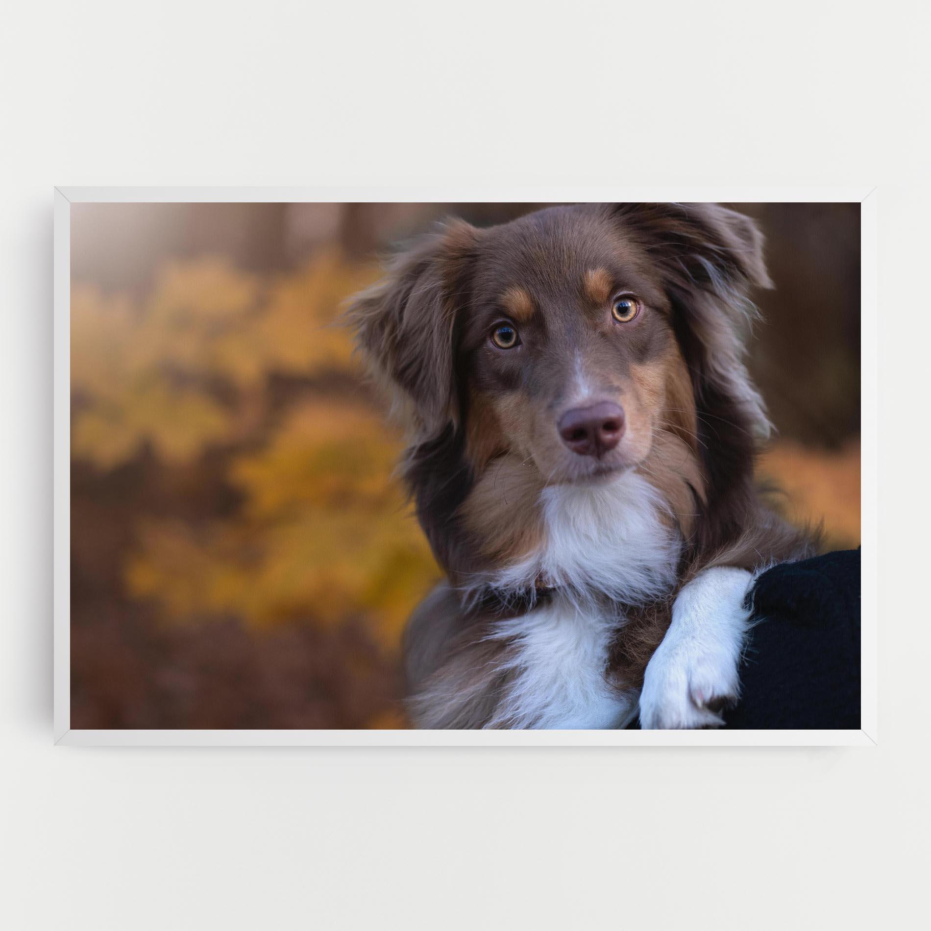 Tablou Canvas Coffee Brown Dog mockup 0