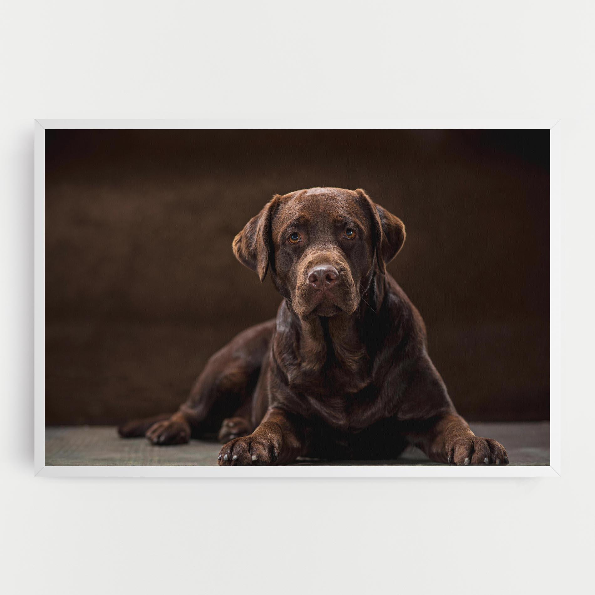 Tablou Canvas Cute Brown Labrador mockup 0