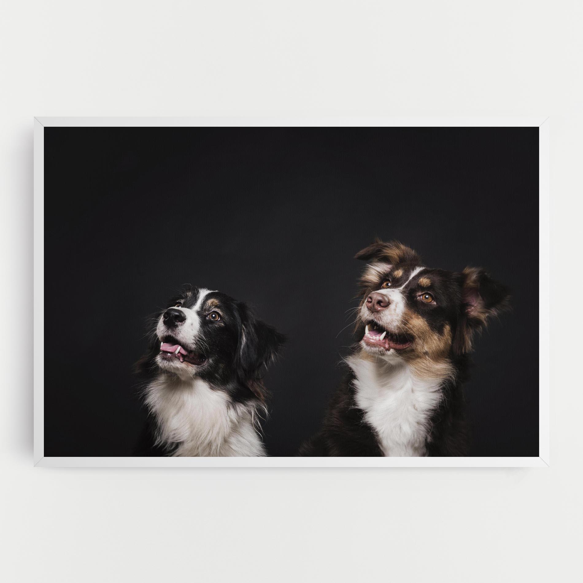 Tablou Canvas Cute Dogs Standing mockup 0