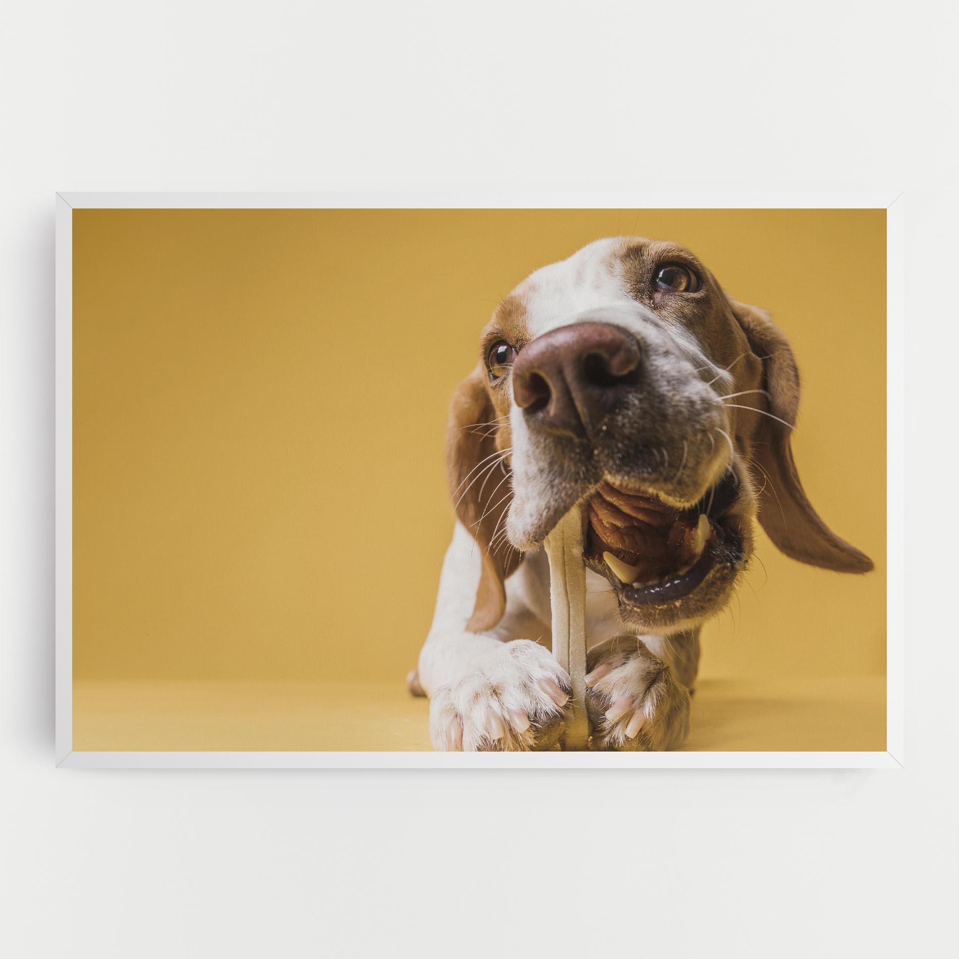 Tablou Canvas Dog Eating Bone mockup 0