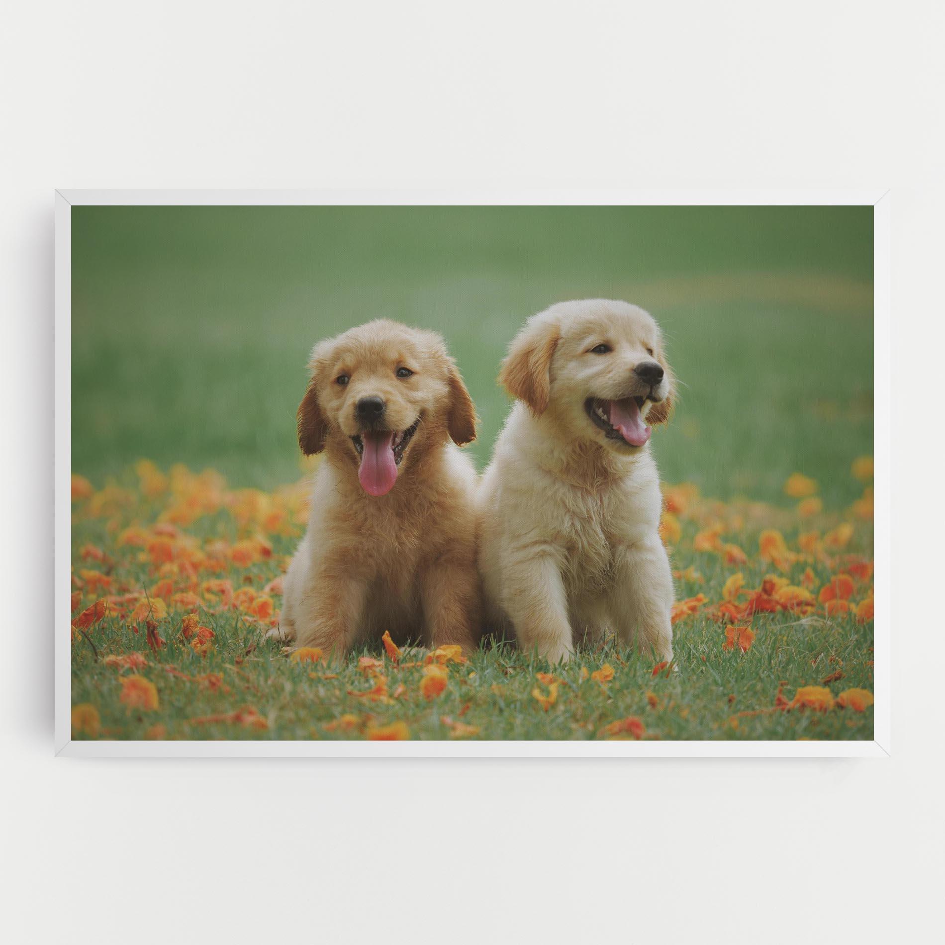 Tablou Canvas Happy Dogs mockup 0