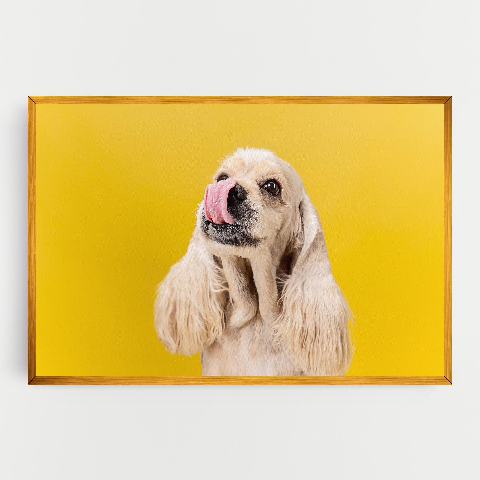 Tablou Canvas American Spaniel mockup 0