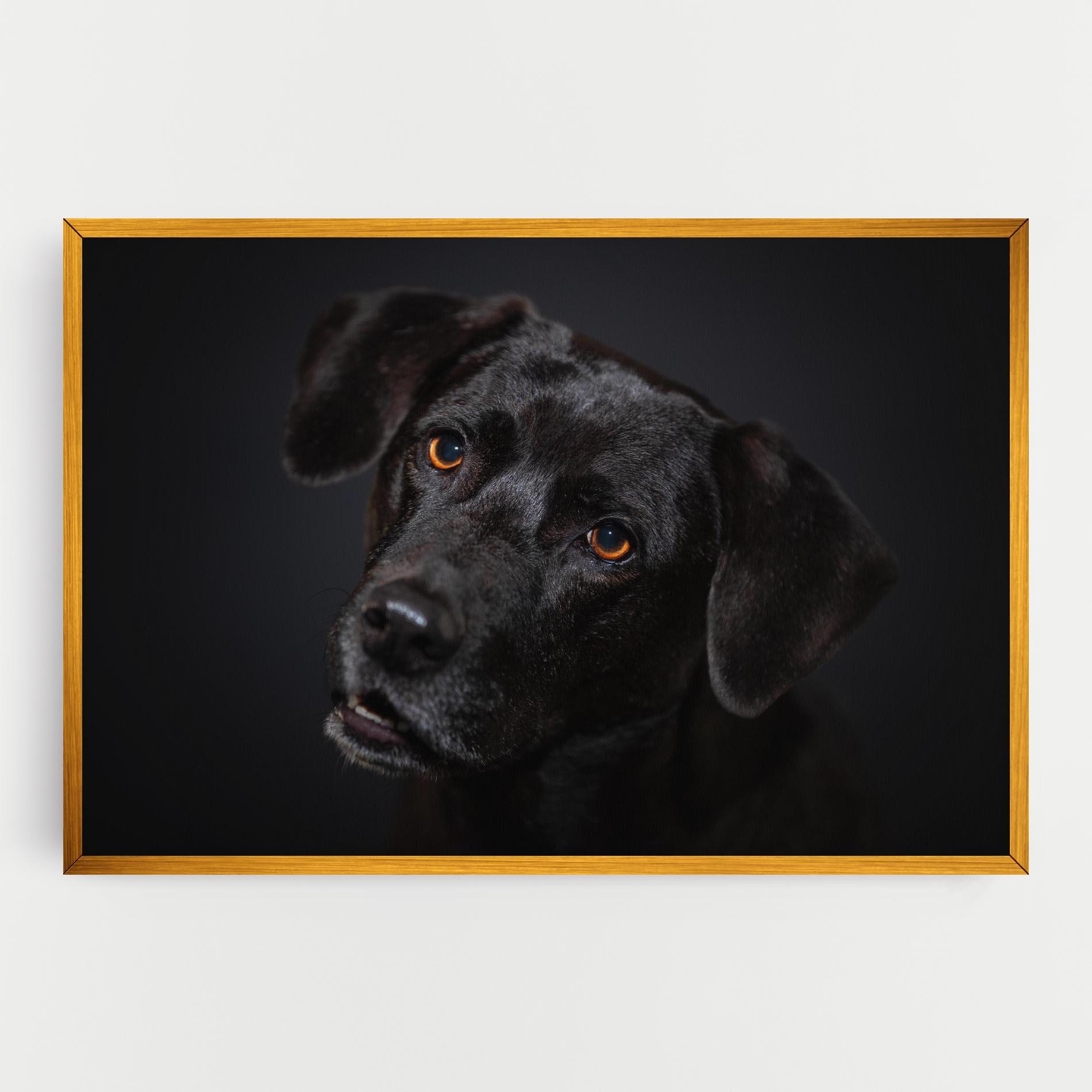 Tablou Canvas Black Dog Portrait mockup 0