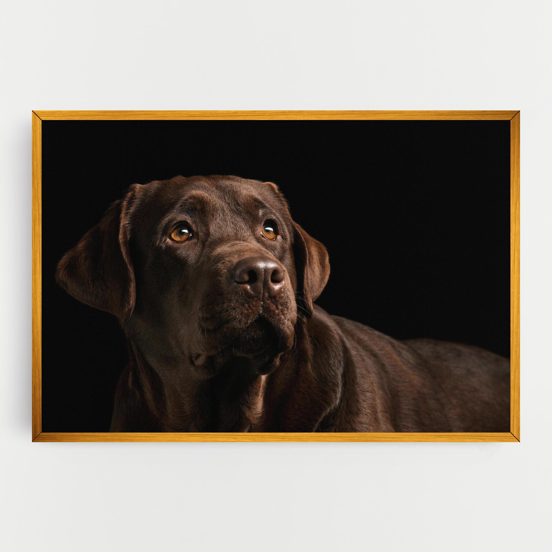 Tablou Canvas Brown Labrador mockup 0