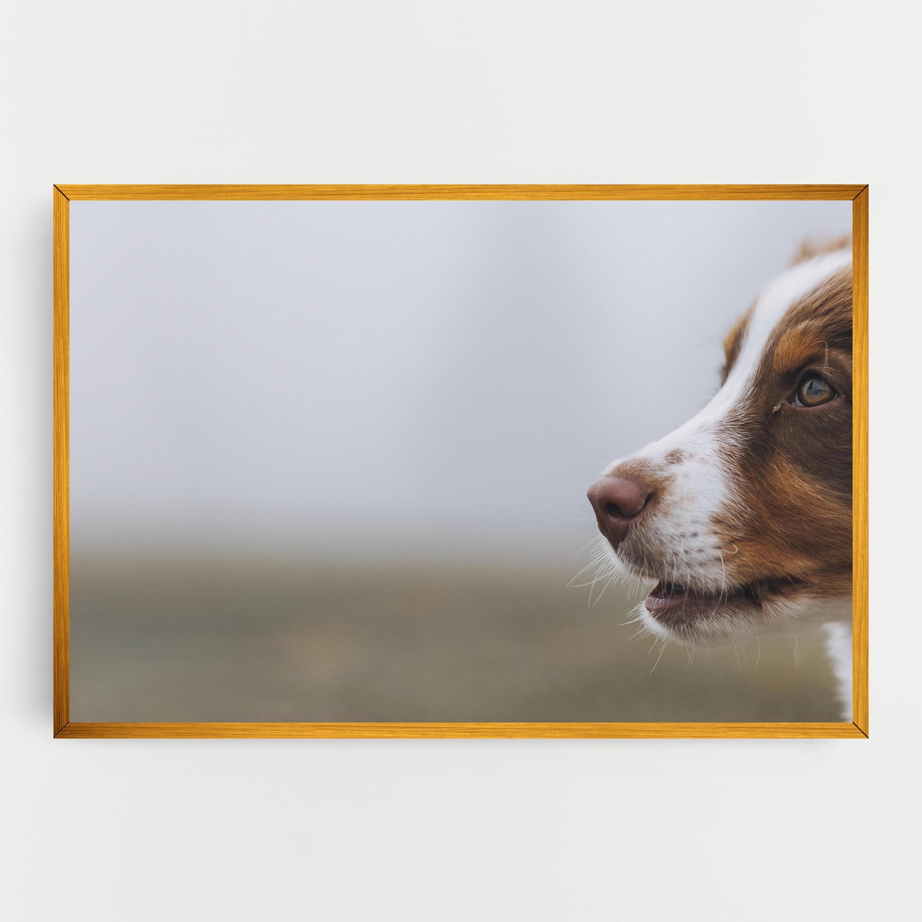 Tablou Canvas Brown White Dog mockup 0