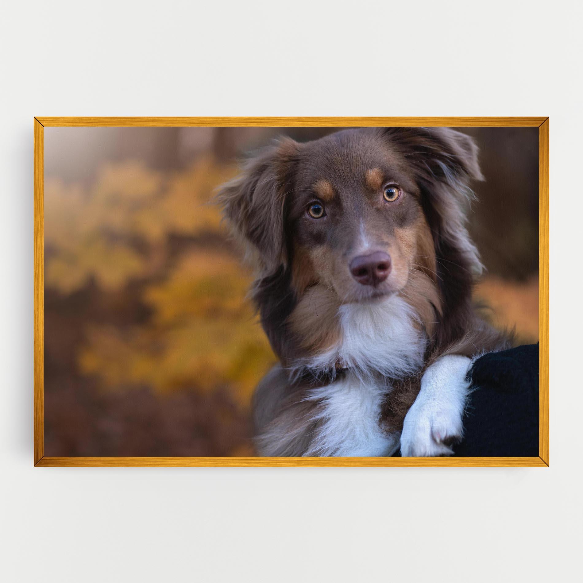 Tablou Canvas Coffee Brown Dog mockup 0