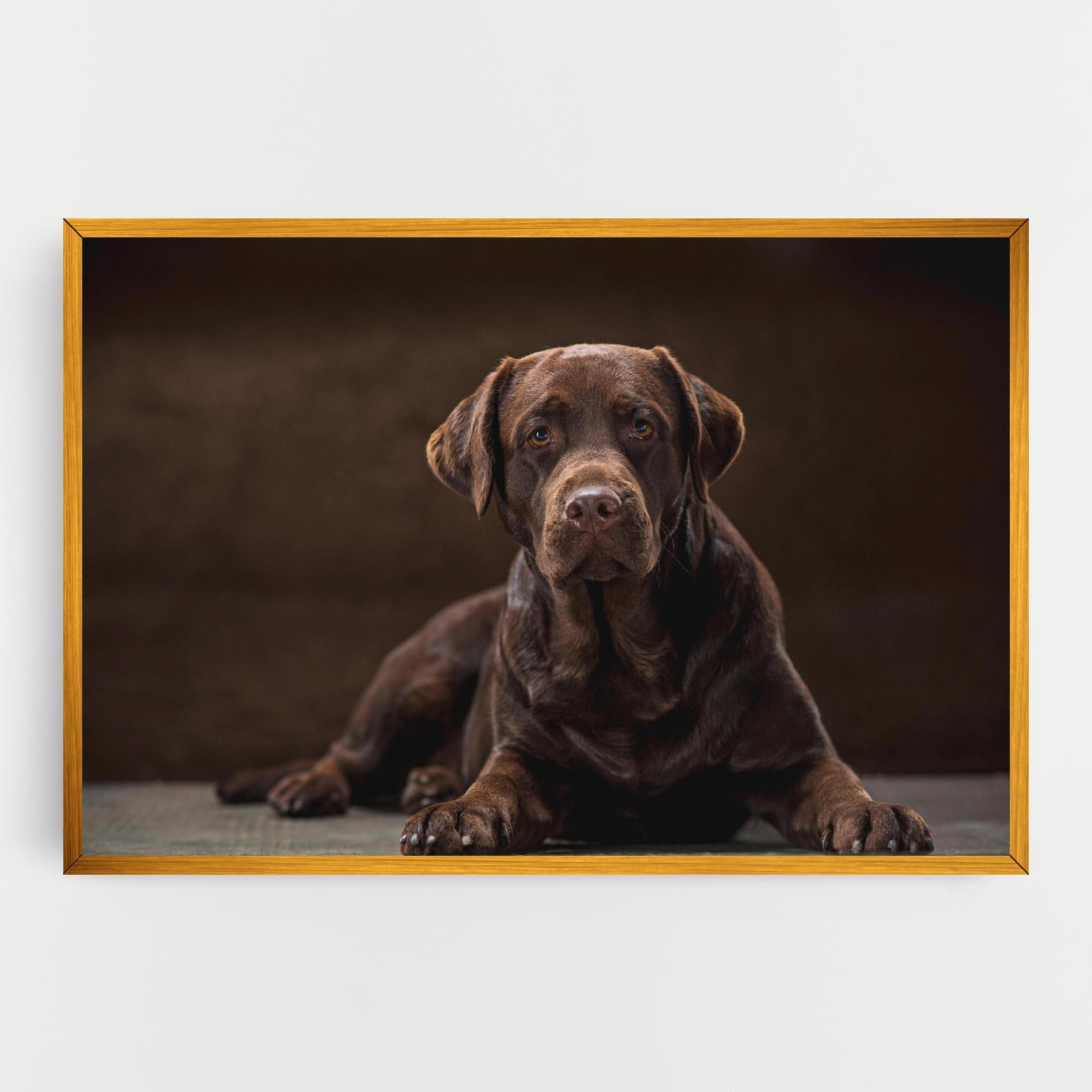 Tablou Canvas Cute Brown Labrador mockup 0