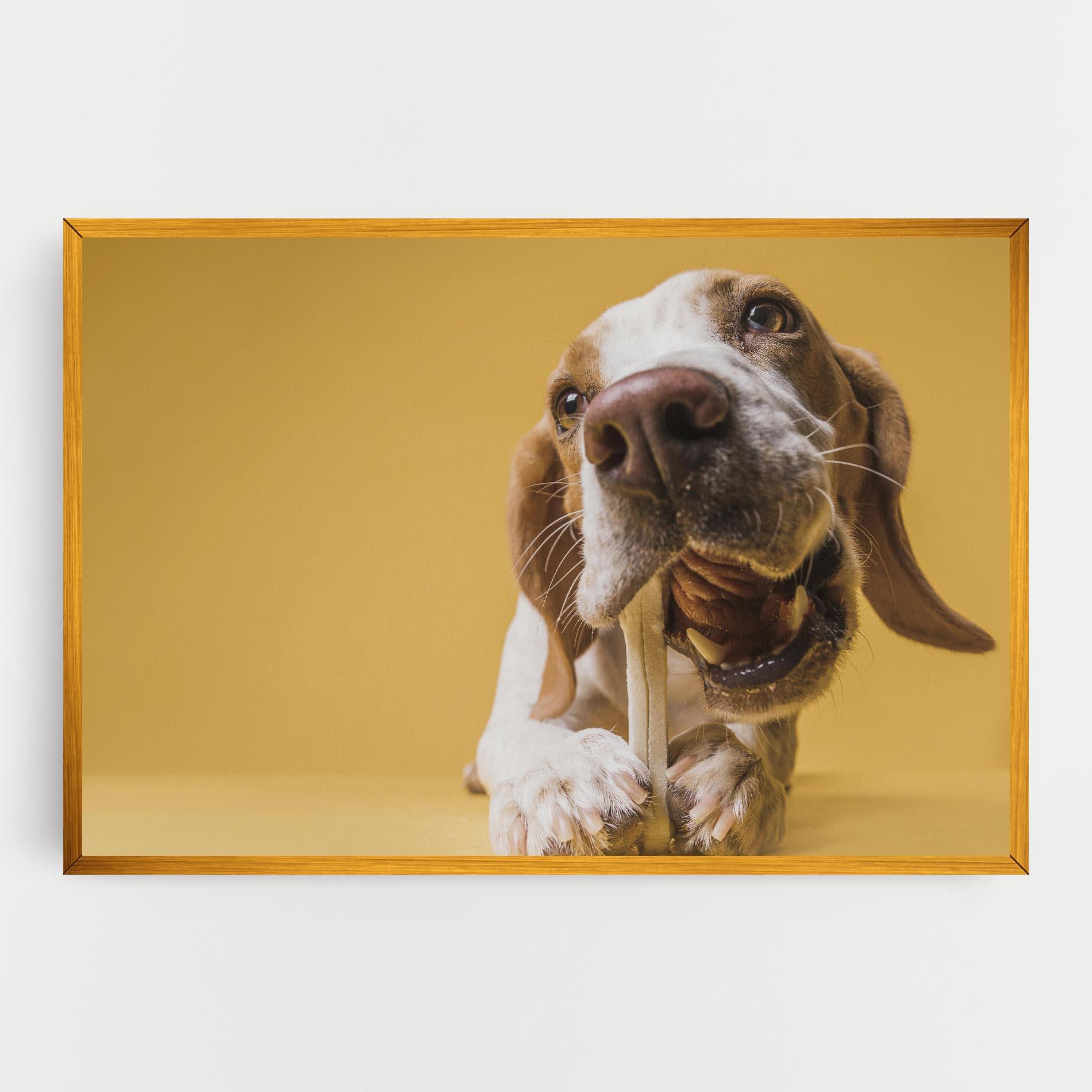 Tablou Canvas Dog Eating Bone mockup 0