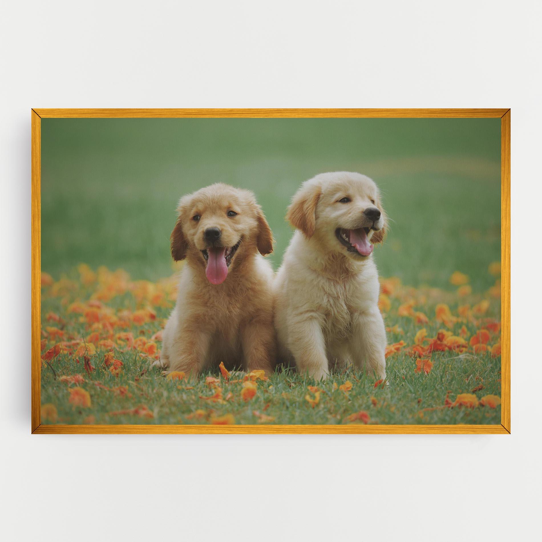 Tablou Canvas Happy Dogs mockup 0