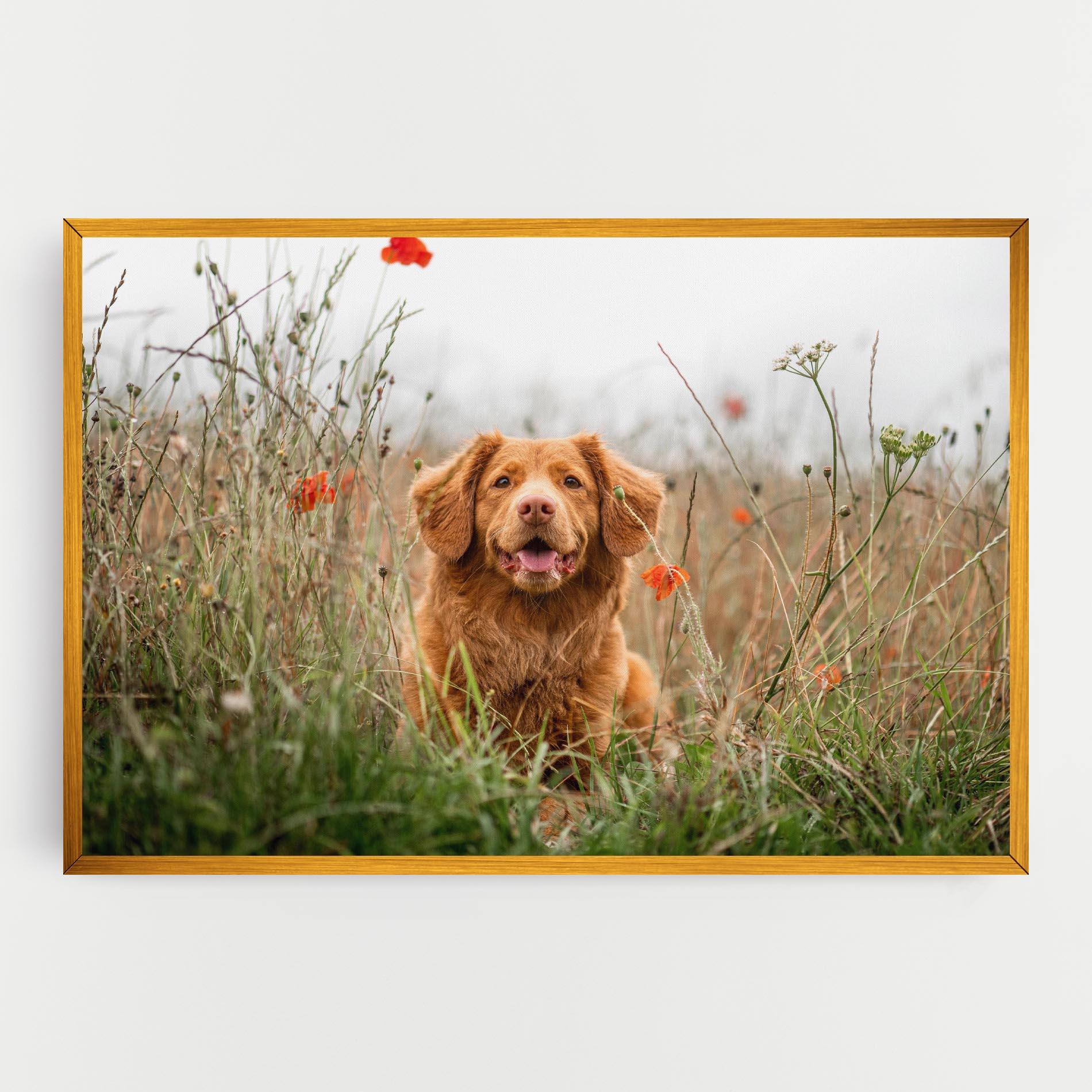 Tablou Canvas Red Flowers Dog mockup 0
