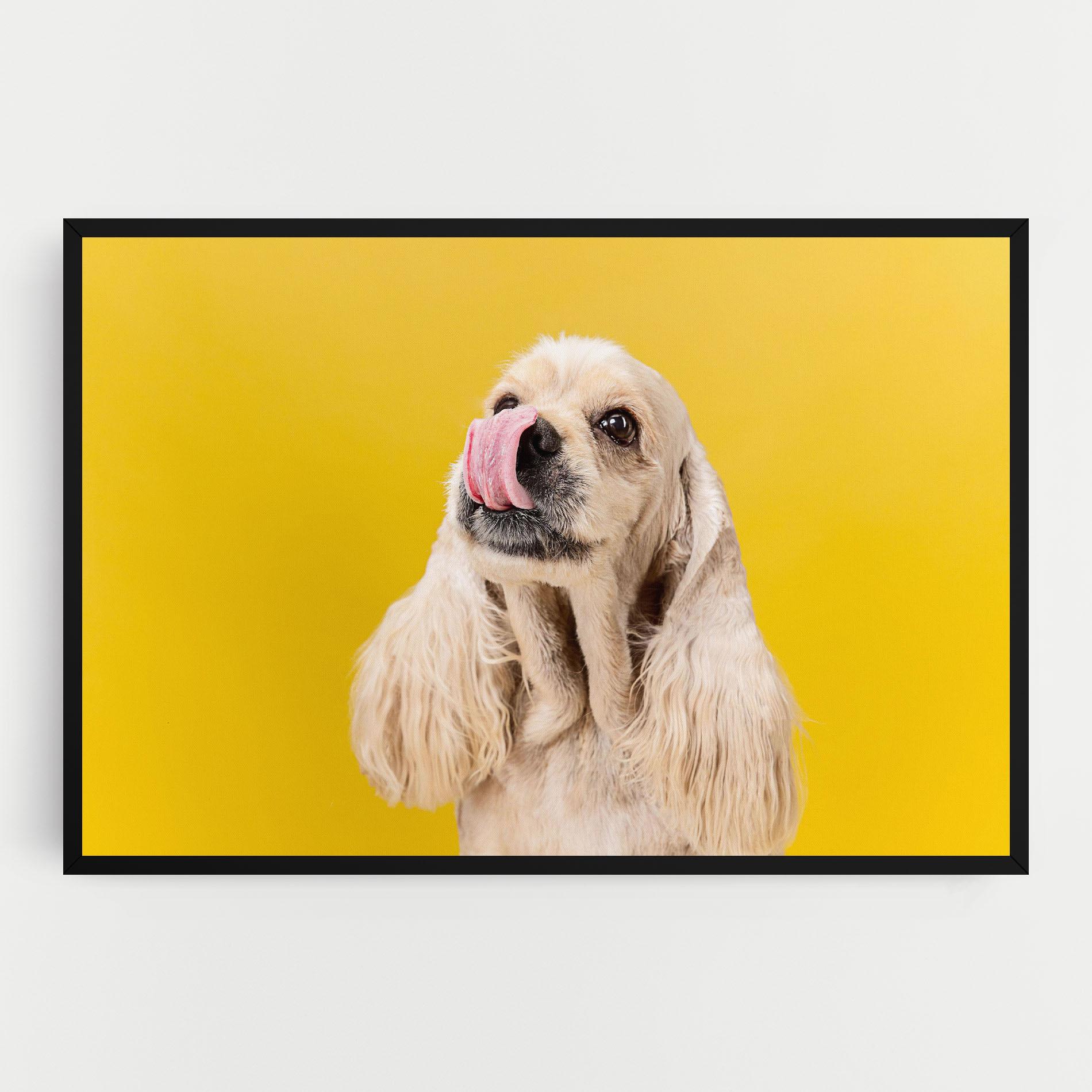 Tablou Canvas American Spaniel mockup 0