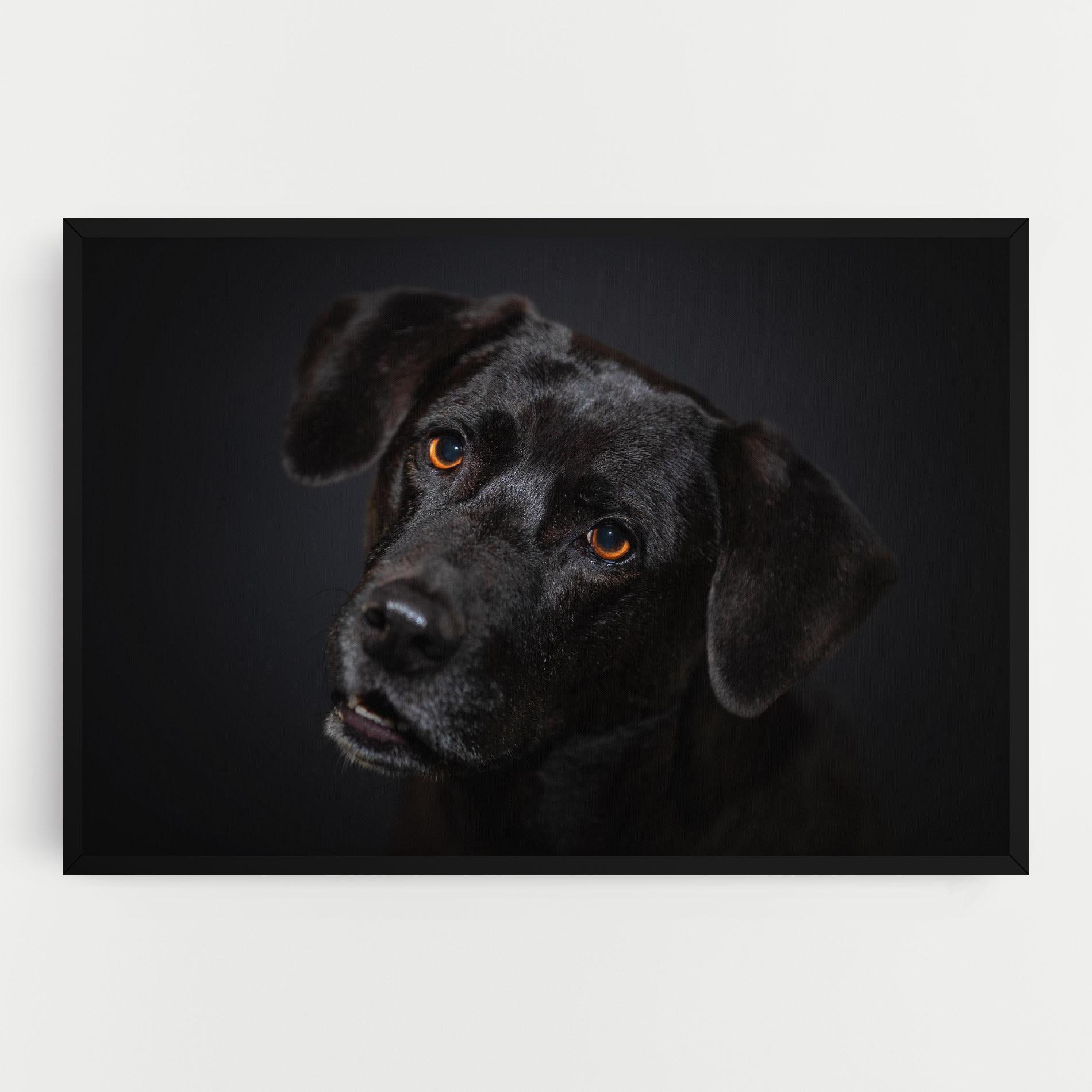 Tablou Canvas Black Dog Portrait mockup 0