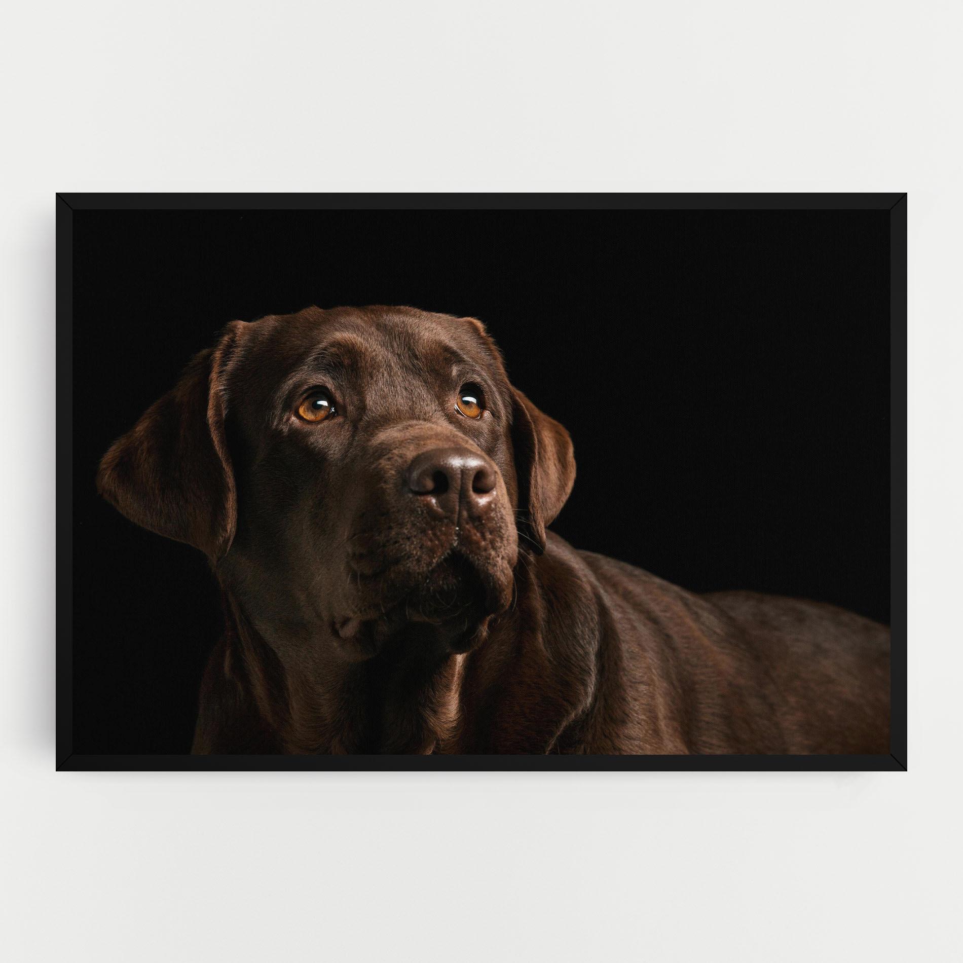 Tablou Canvas Brown Labrador mockup 0