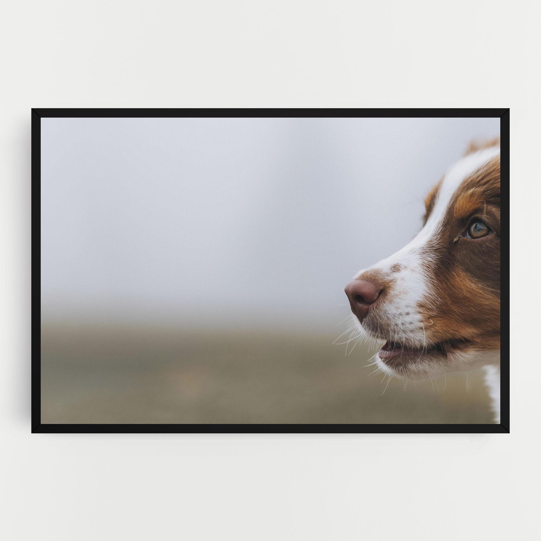 Tablou Canvas Brown White Dog mockup 0