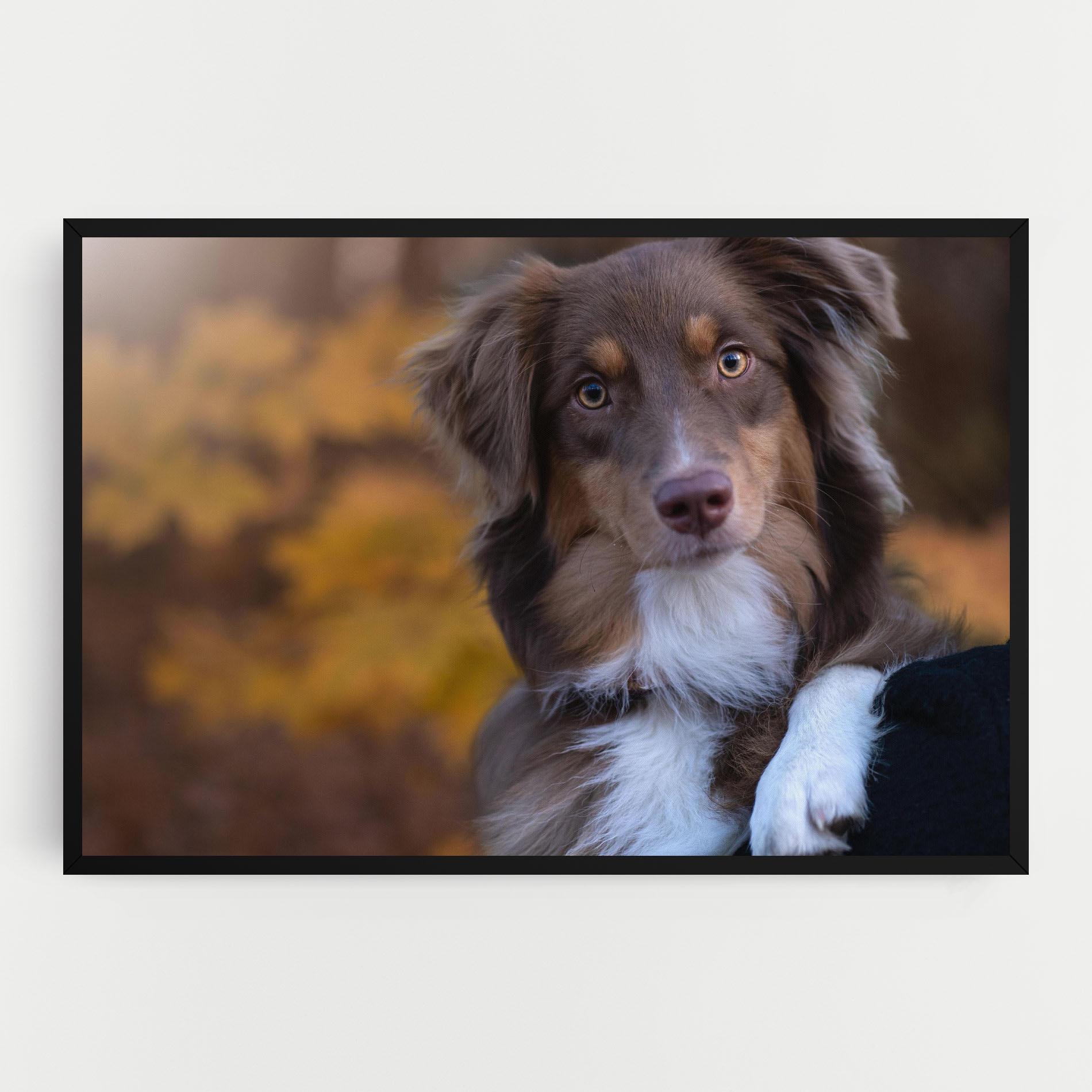 Tablou Canvas Coffee Brown Dog mockup 0