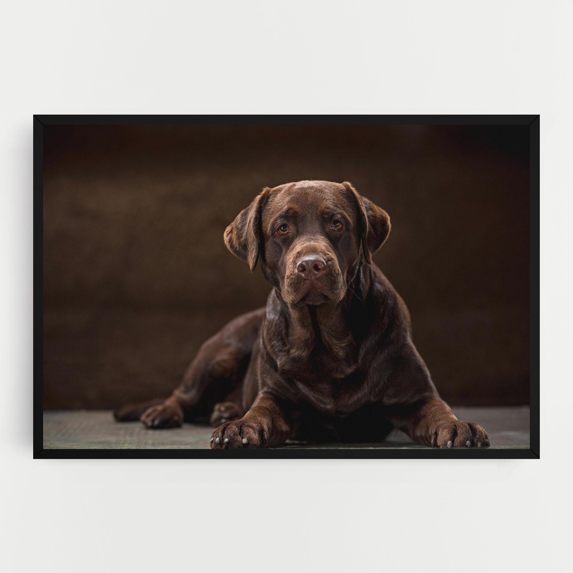 Tablou Canvas Cute Brown Labrador mockup 0