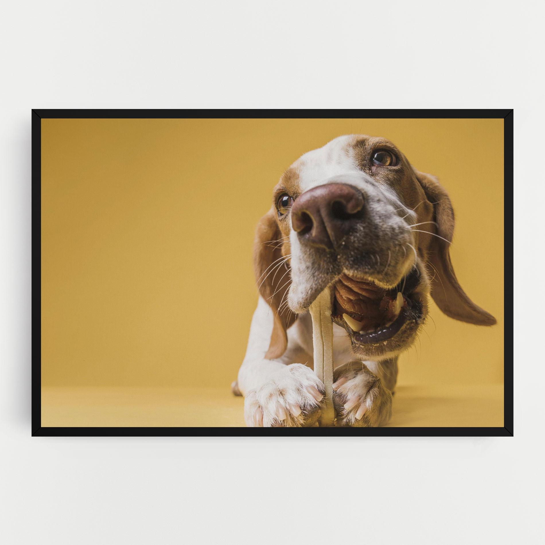 Tablou Canvas Dog Eating Bone mockup 0