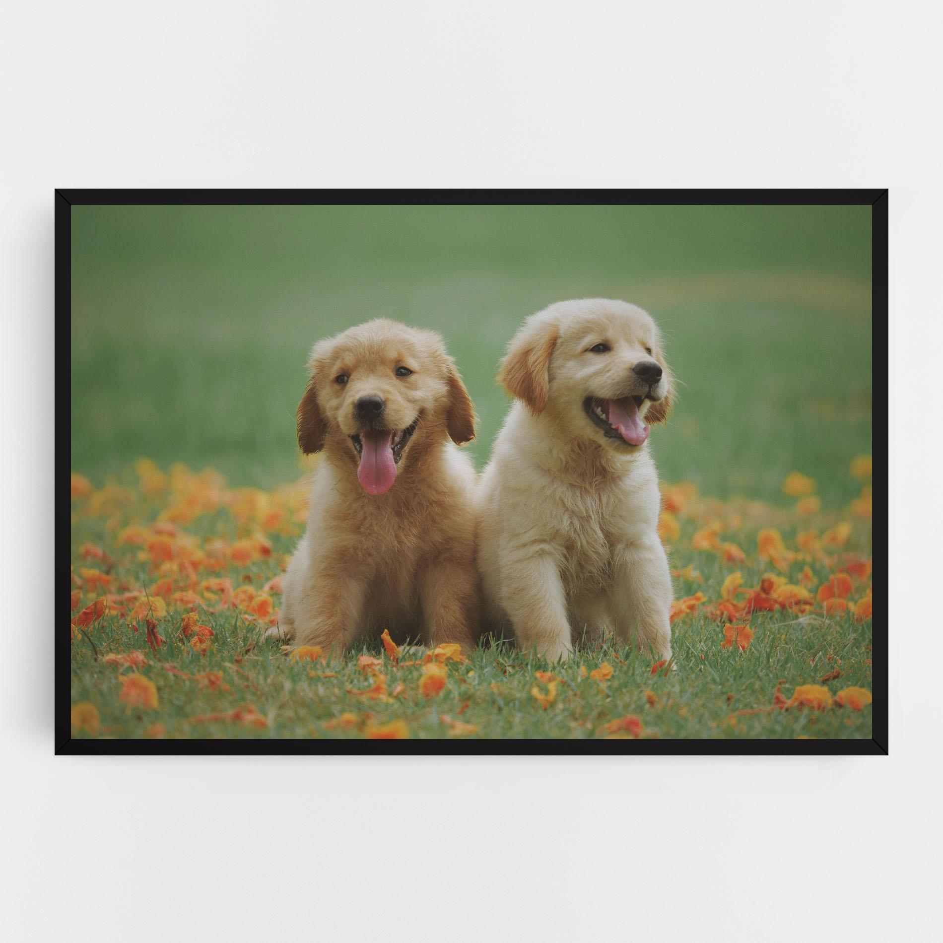 Tablou Canvas Happy Dogs mockup 0