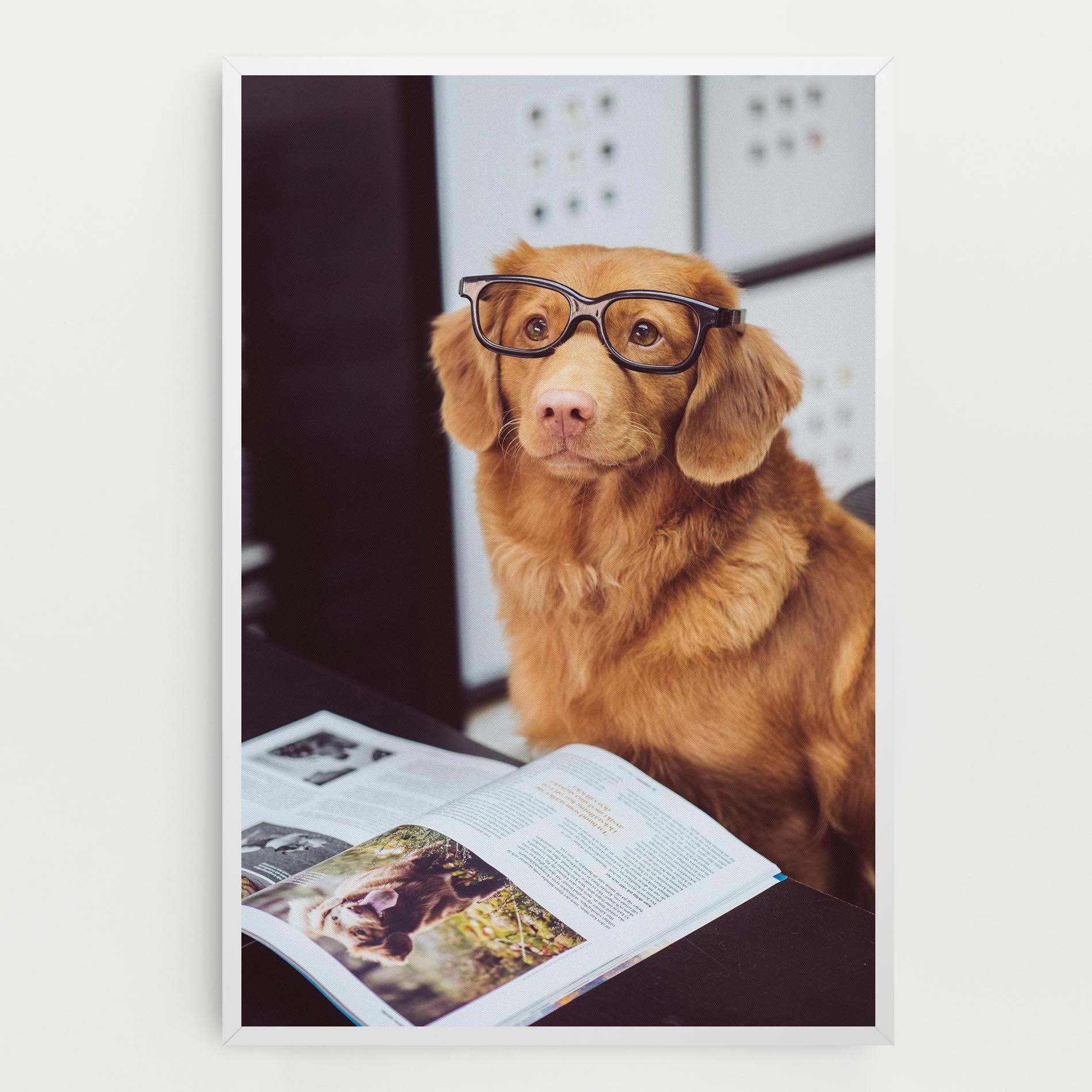 Learning Dog mockup 0