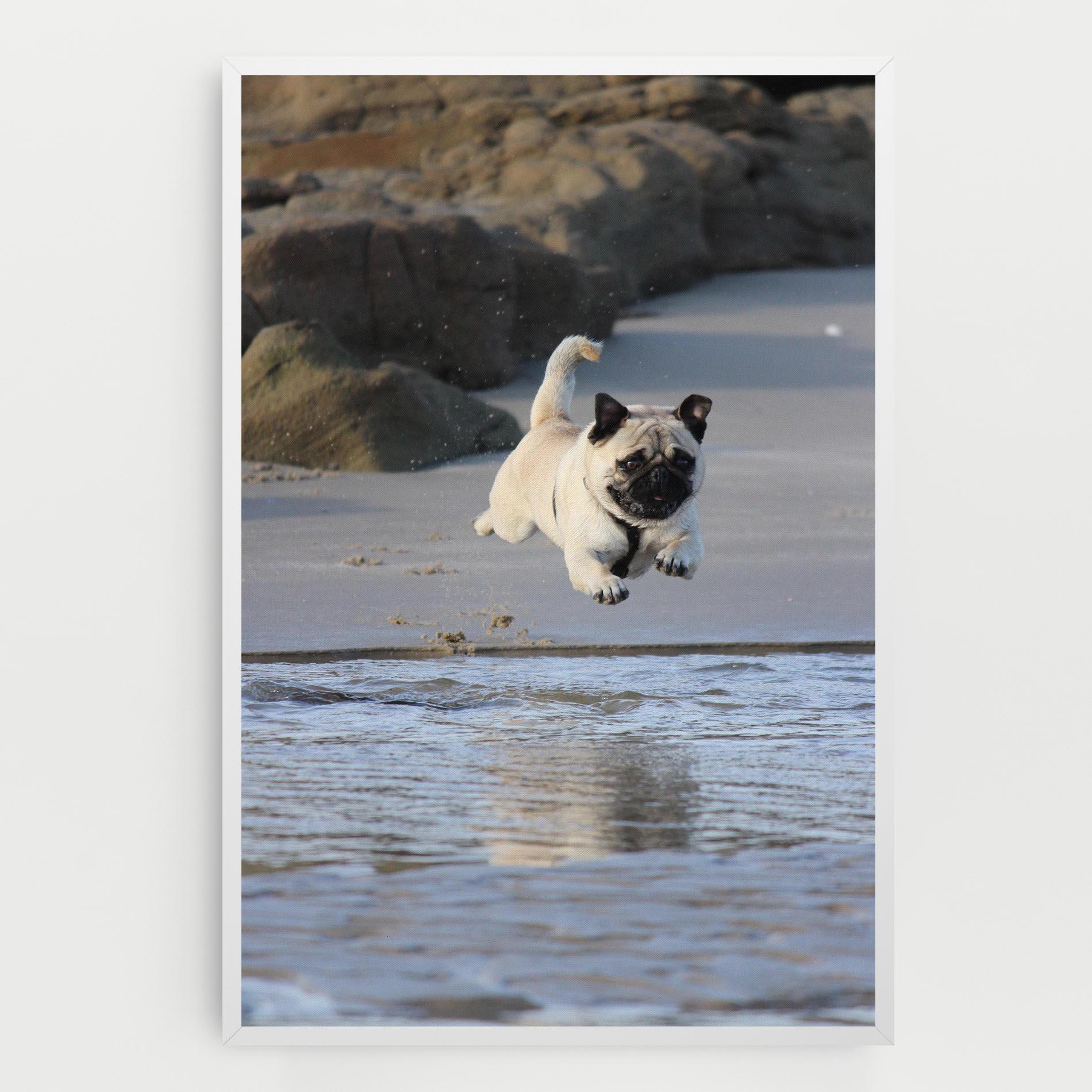 Tablou Canvas Water Pug mockup 0