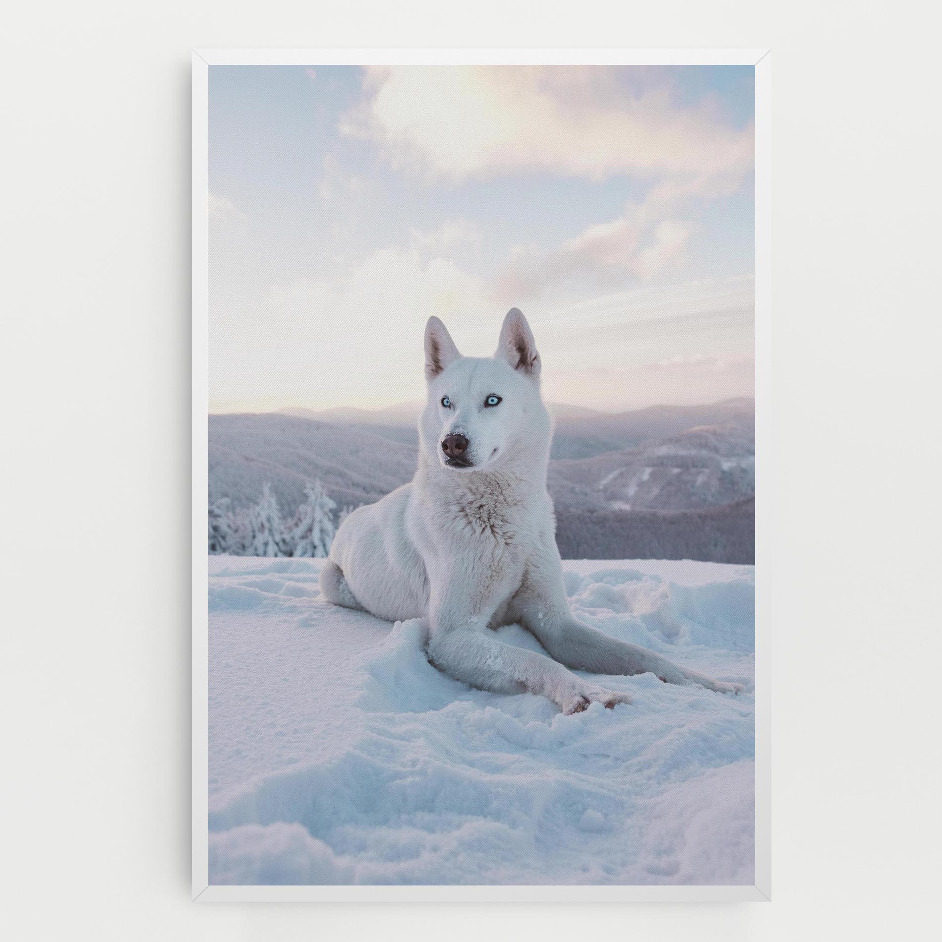 Tablou Canvas White Husky mockup 0