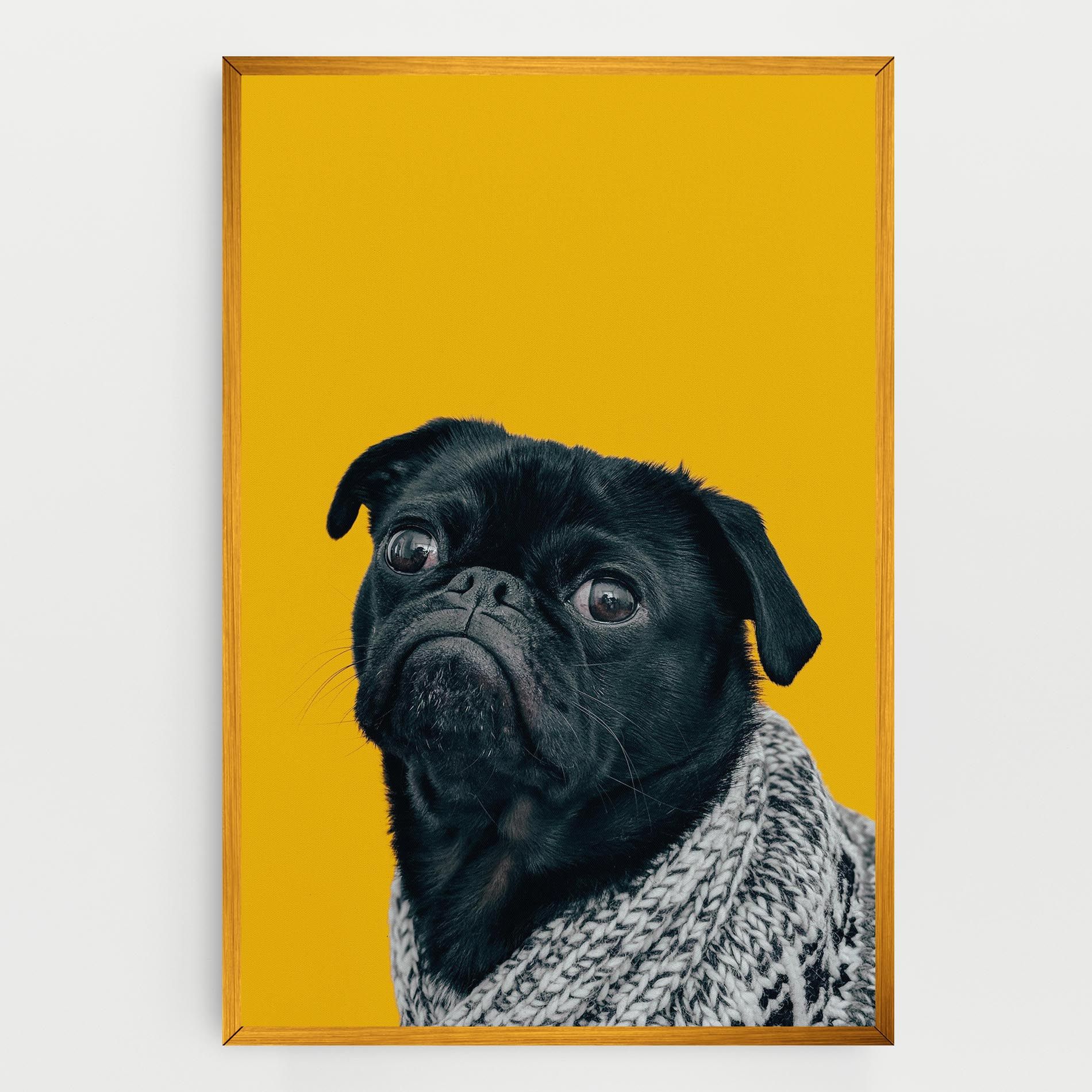 Black Pug mockup 0