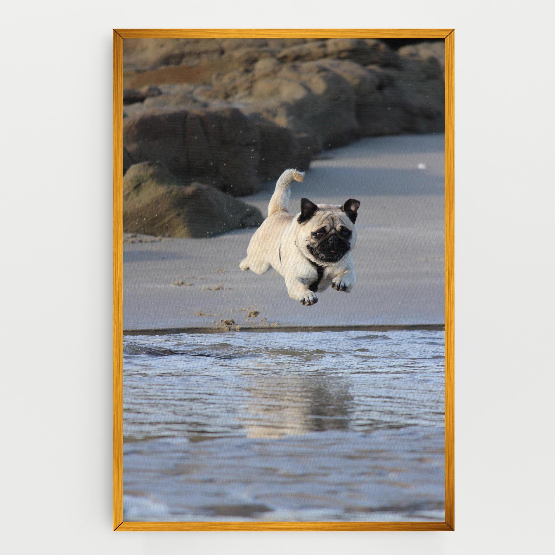Tablou Canvas Water Pug mockup 0
