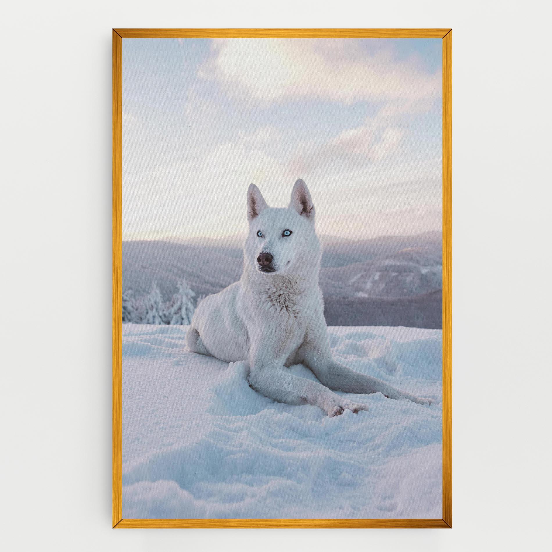 Tablou Canvas White Husky mockup 0