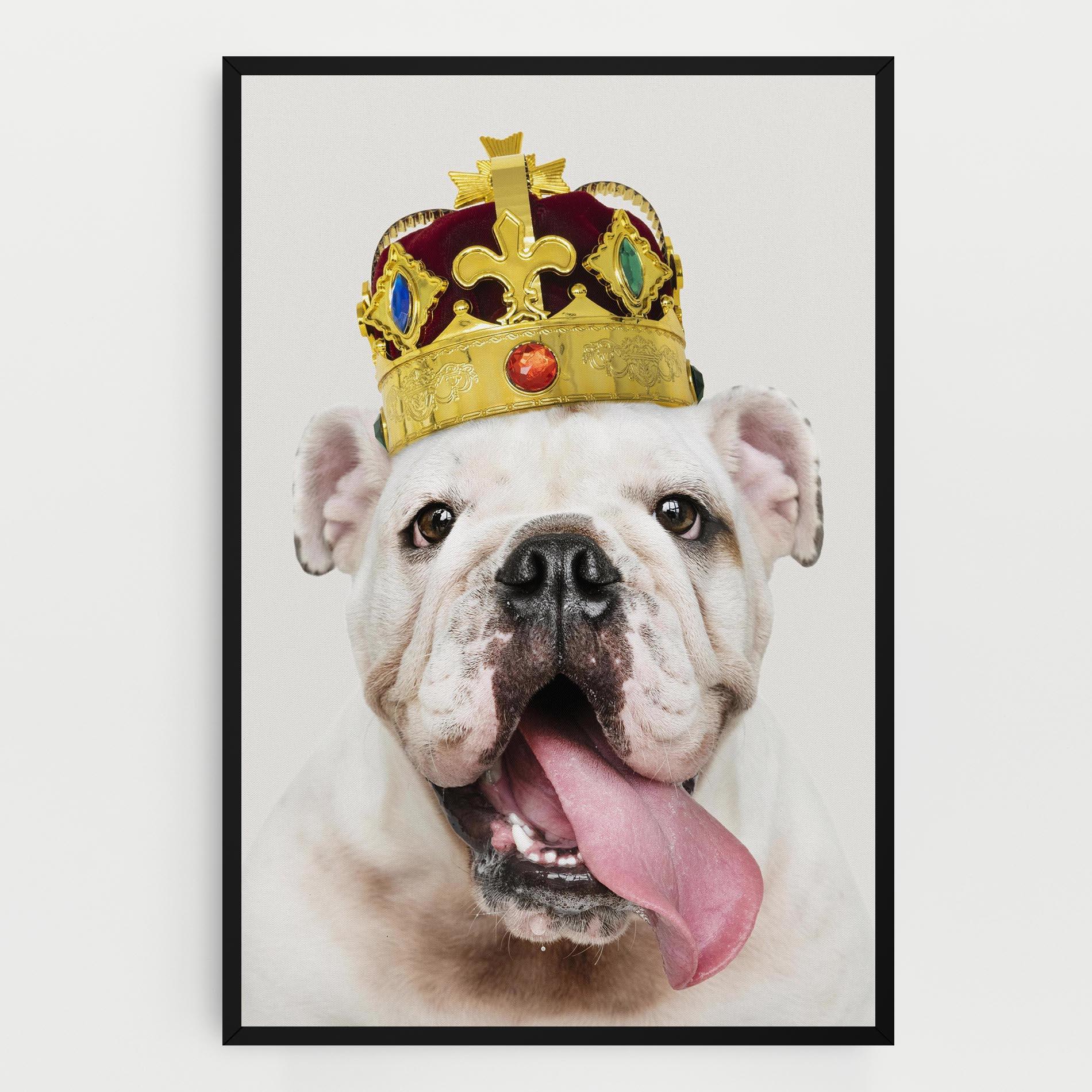 Tablou Canvas Bulldog Wearing Crown mockup 0