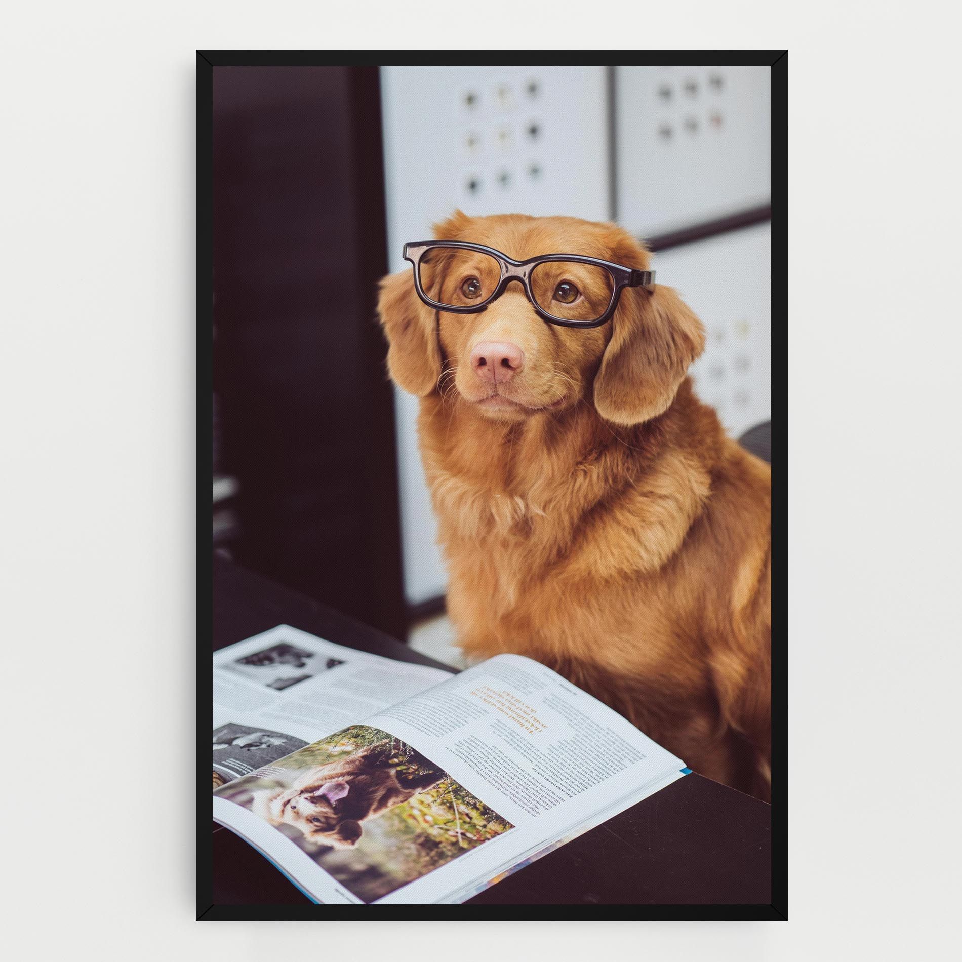 Learning Dog mockup 0