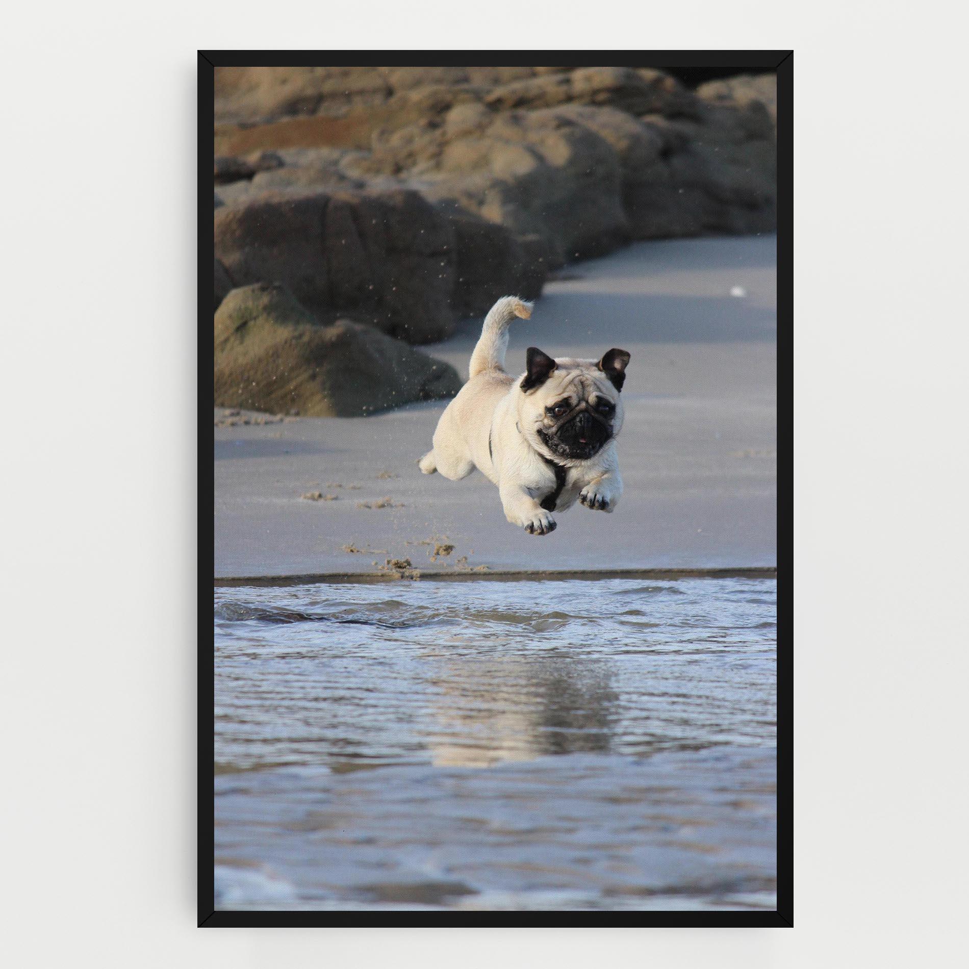 Tablou Canvas Water Pug mockup 0