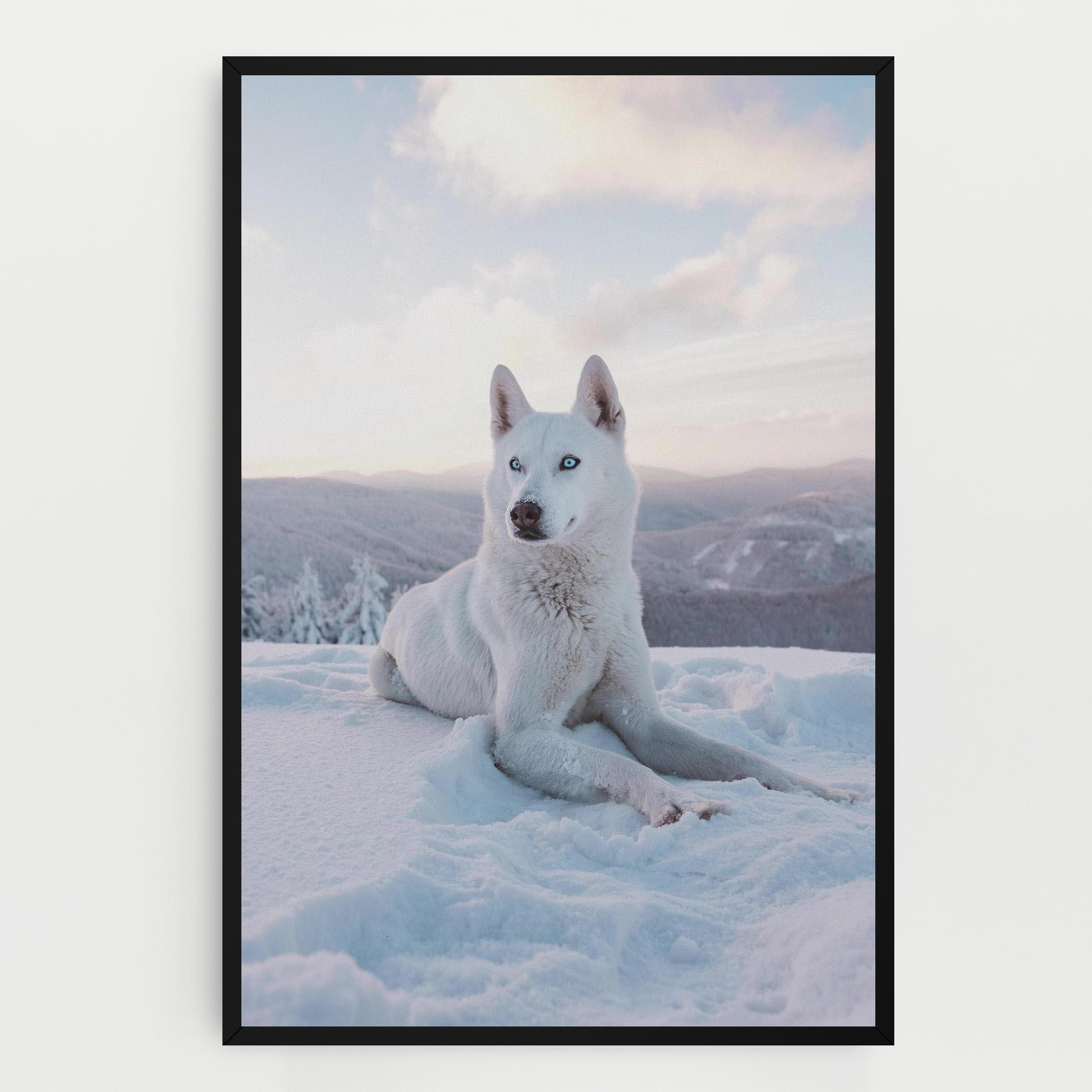 Tablou Canvas White Husky mockup 0