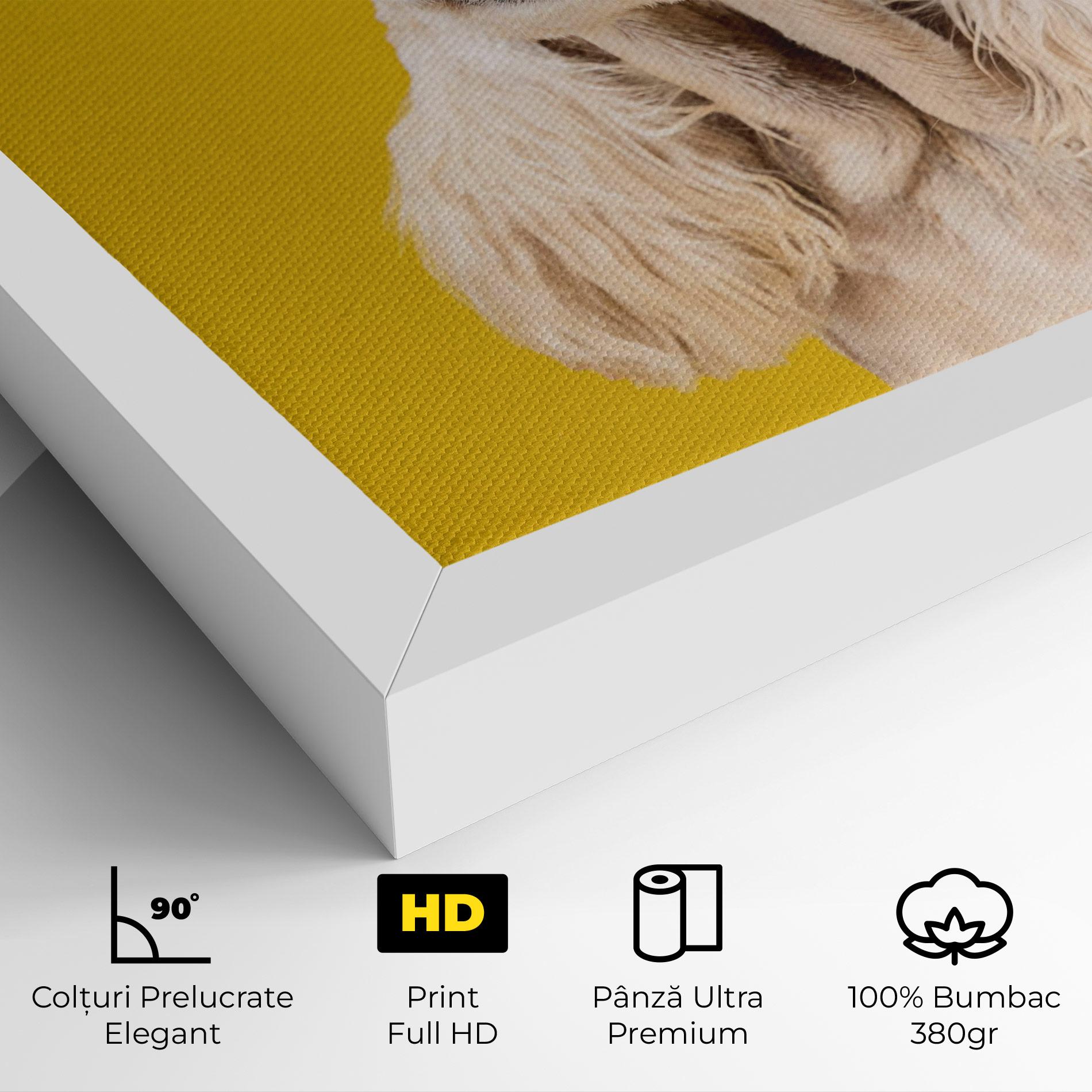 Tablou Canvas American Spaniel mockup 4