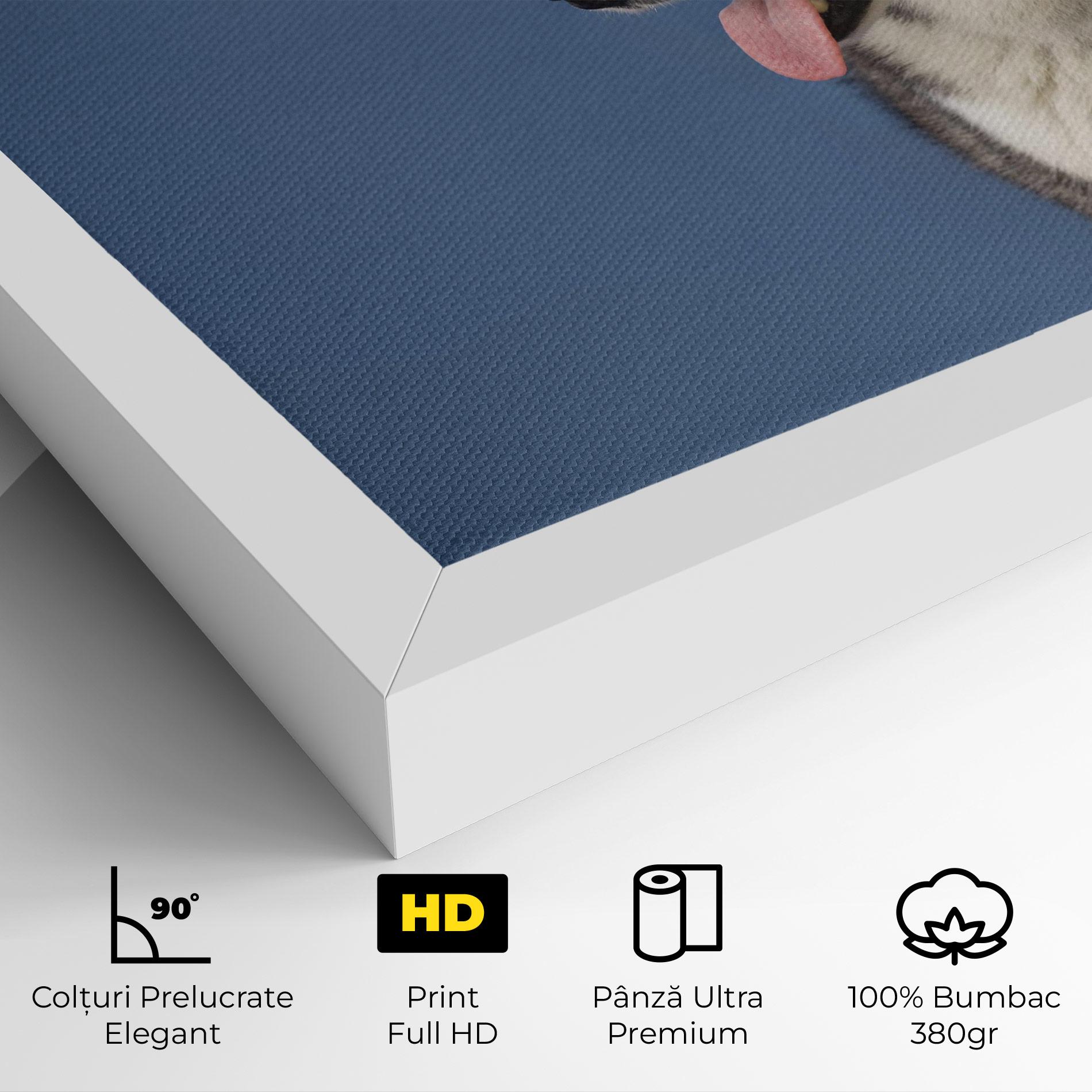Tablou Canvas Blue Glasses Dog mockup 4