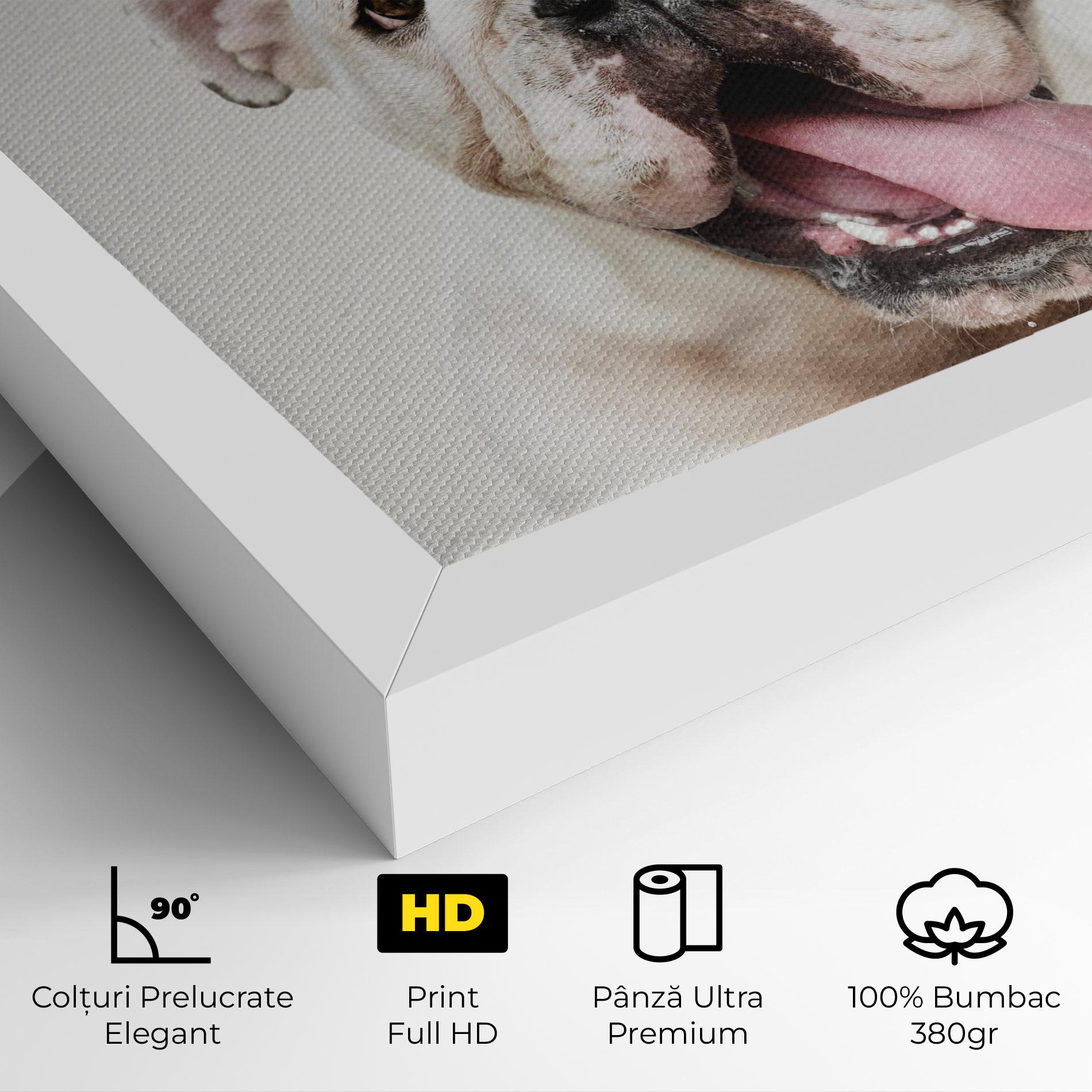 Tablou Canvas Bulldog Wearing Crown mockup 4