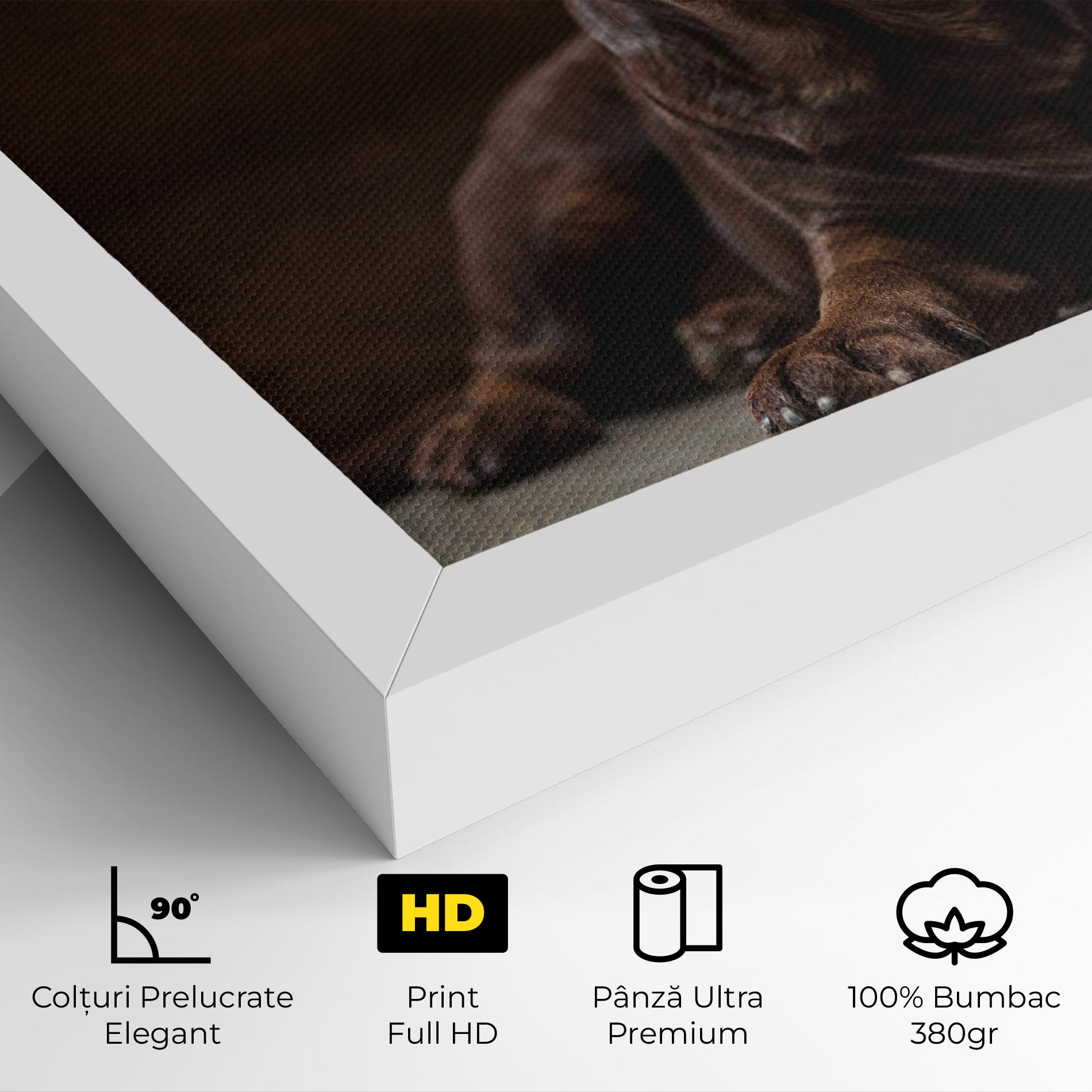 Tablou Canvas Cute Brown Labrador mockup 4