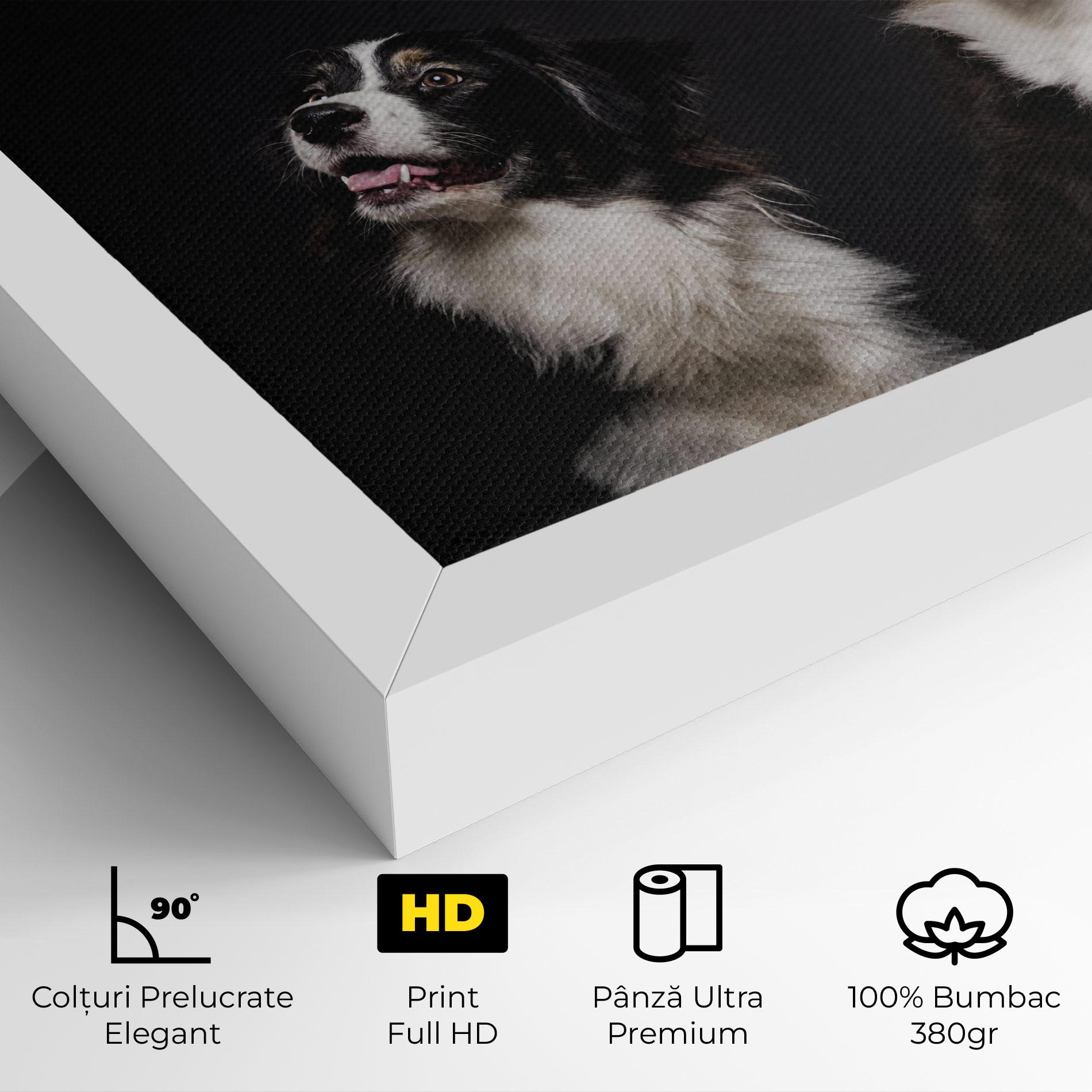 Tablou Canvas Cute Dogs Standing mockup 4