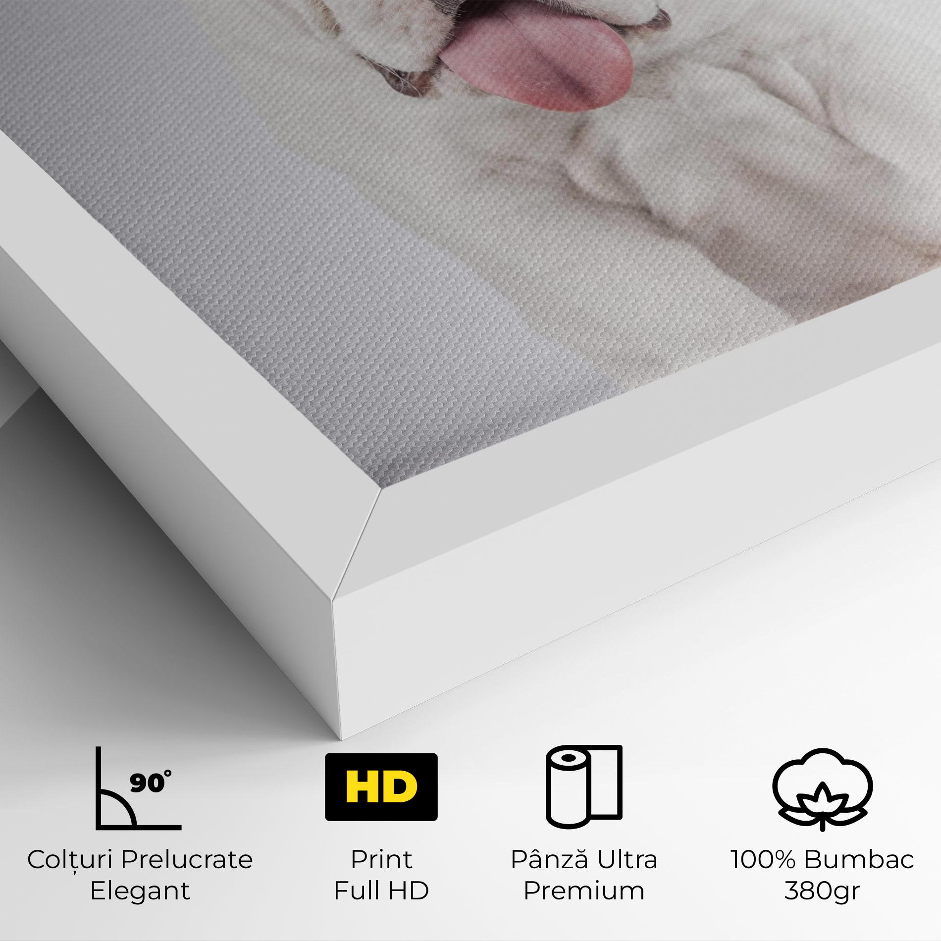 Tablou Canvas English Bulldog mockup 4