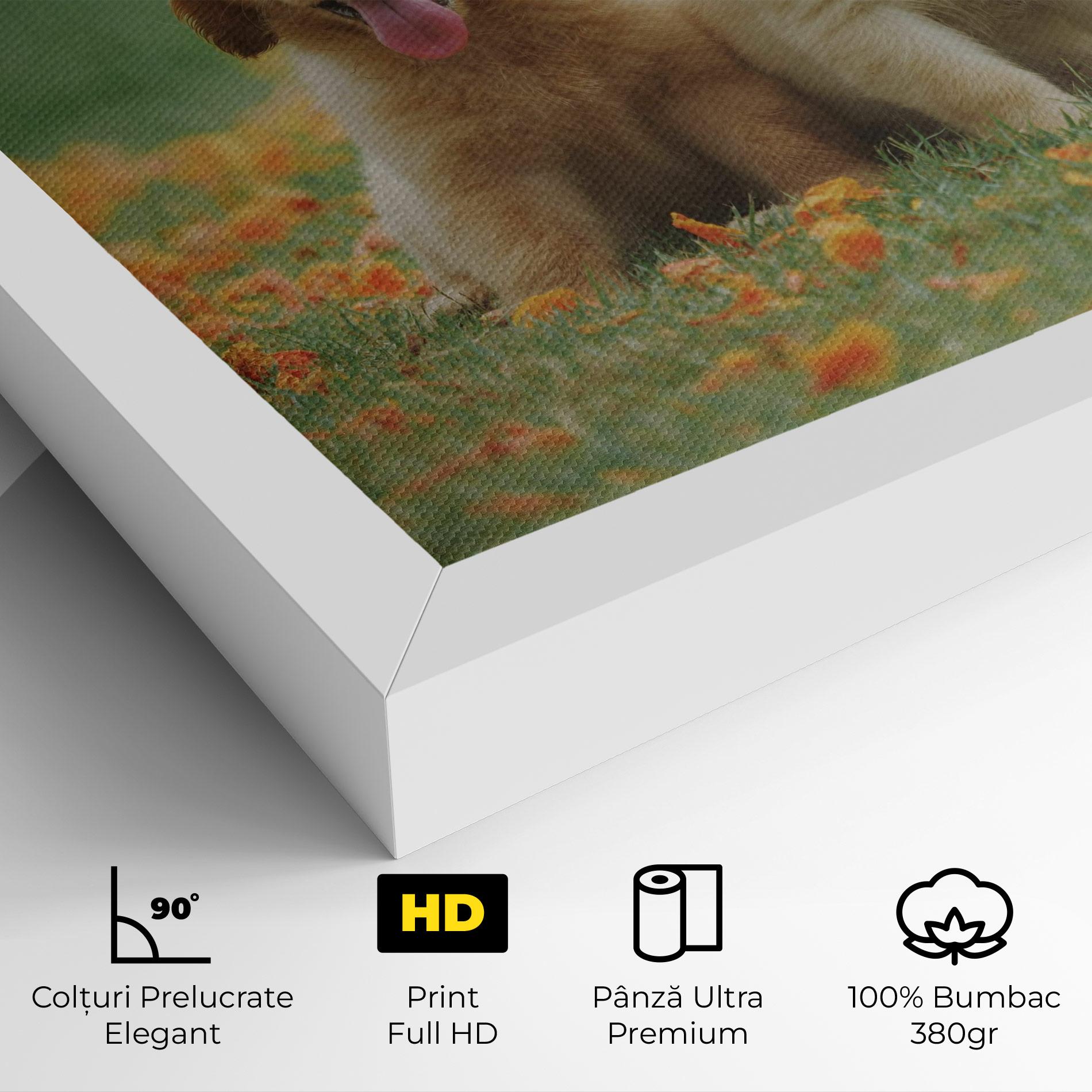 Tablou Canvas Happy Dogs mockup 4