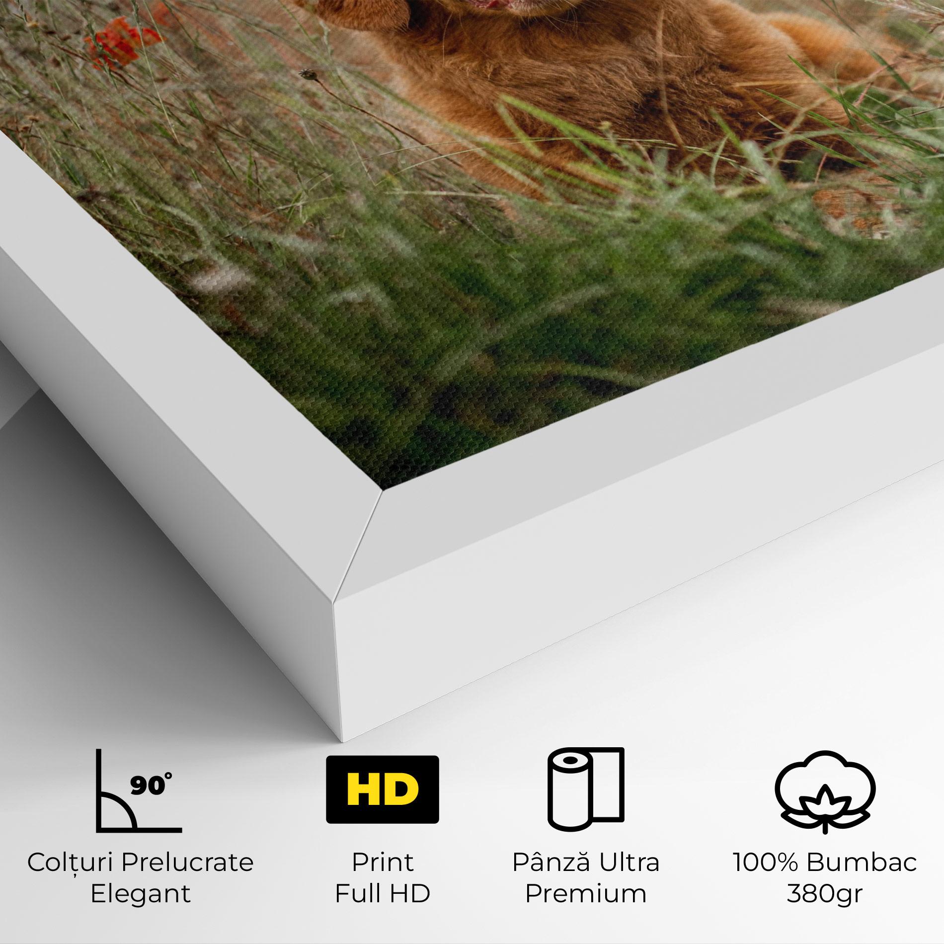 Tablou Canvas Red Flowers Dog mockup 4