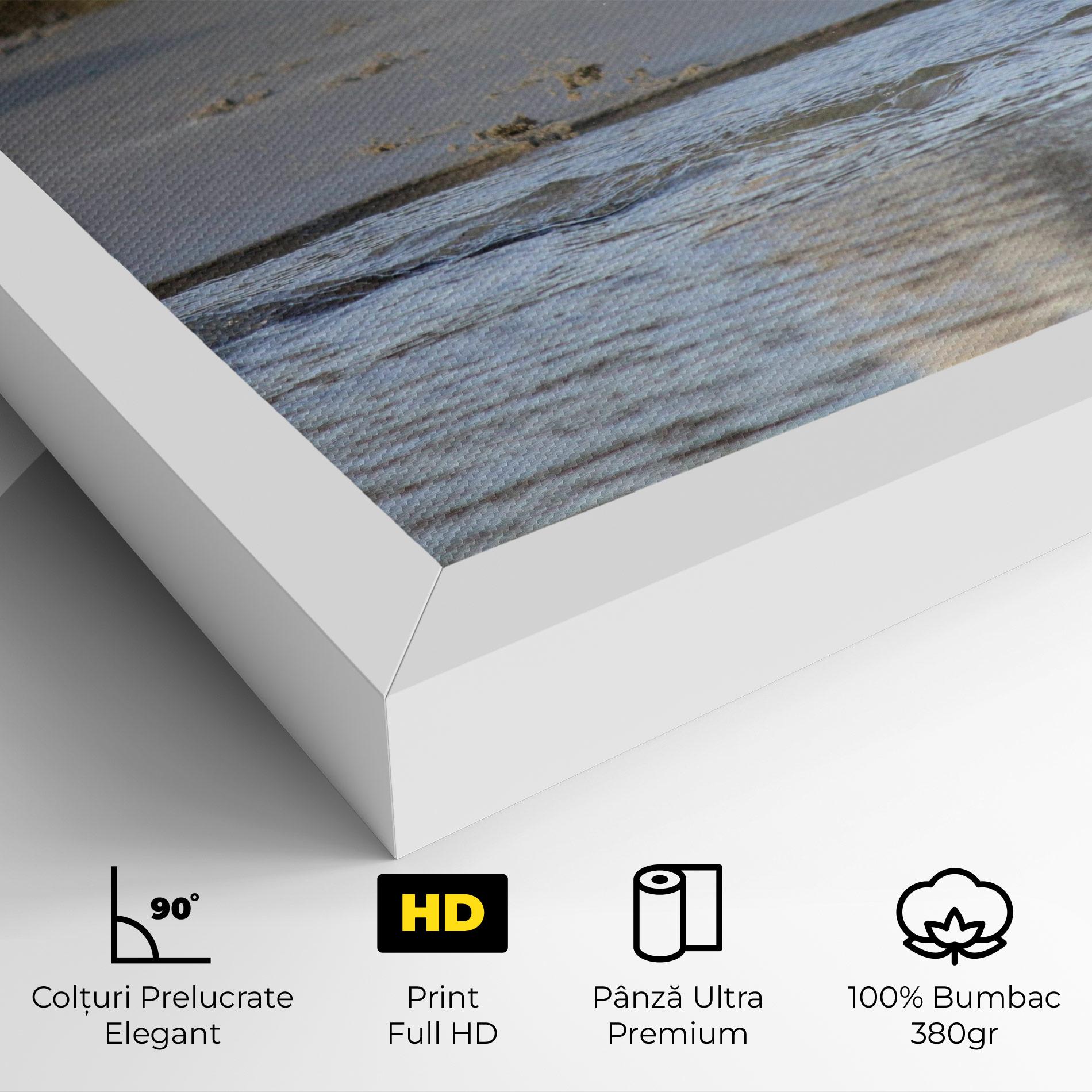 Tablou Canvas Water Pug mockup 4