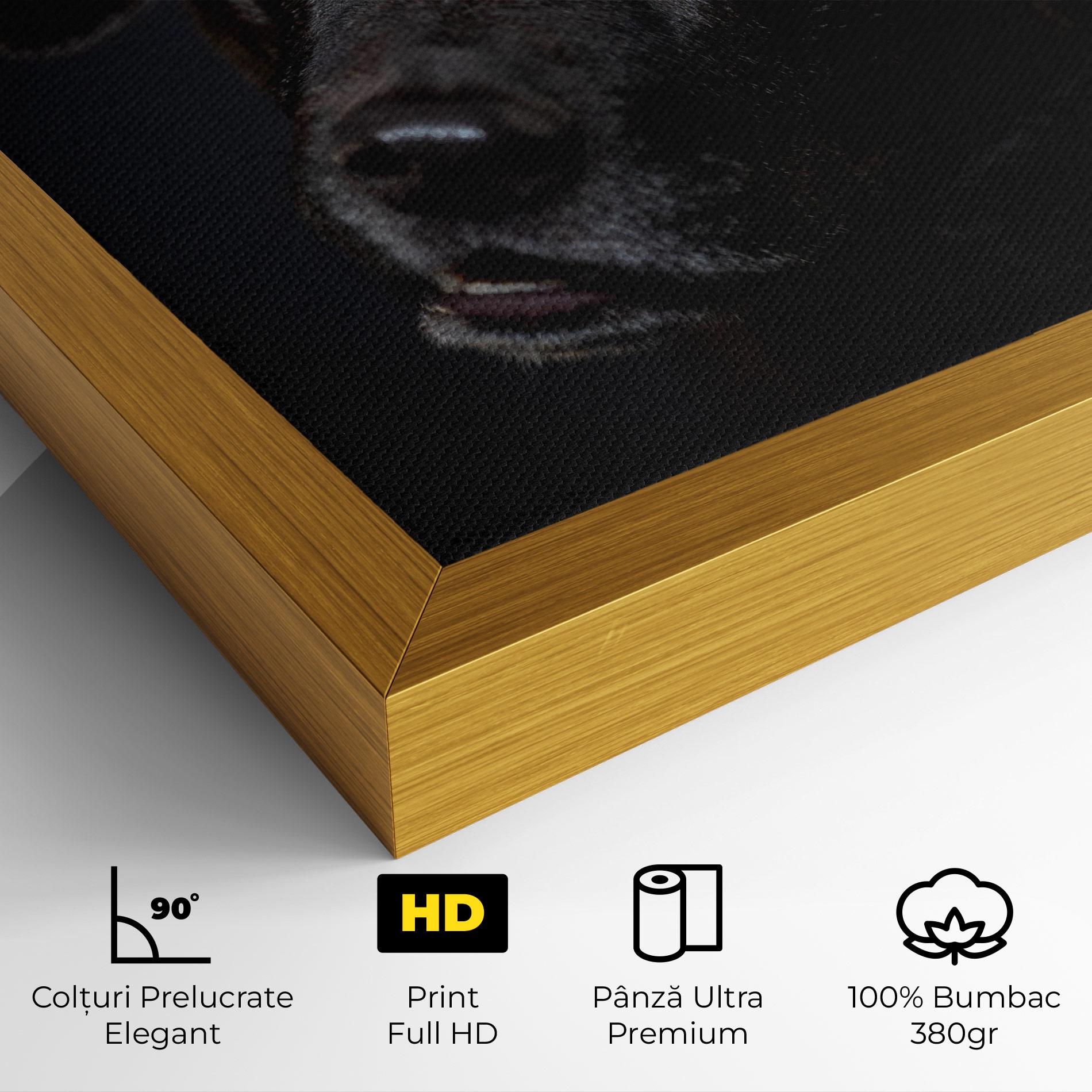Tablou Canvas Black Dog Portrait mockup 4